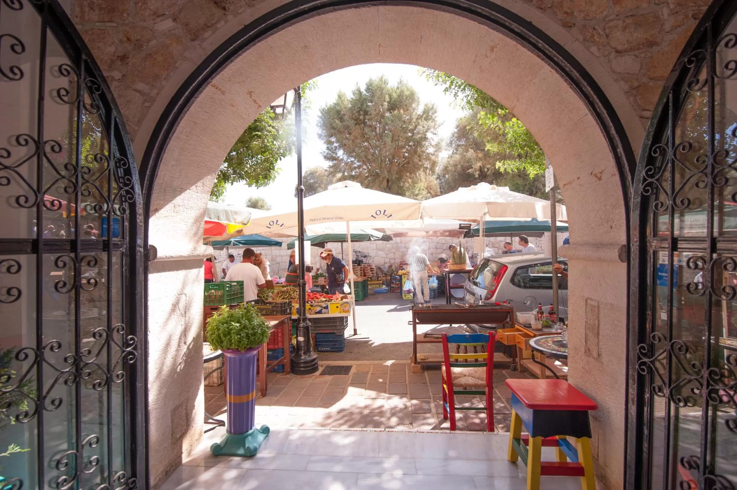 Area and facilities in Poco Loco Bed & Breakfast