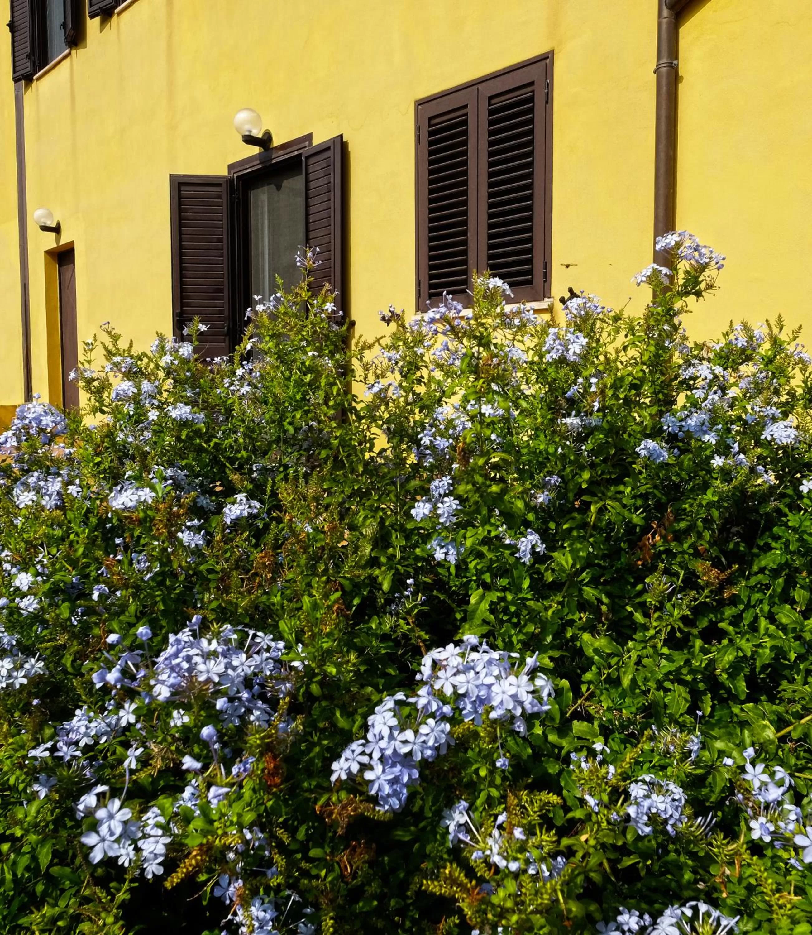 Facade/entrance in Vistazzurra B&B