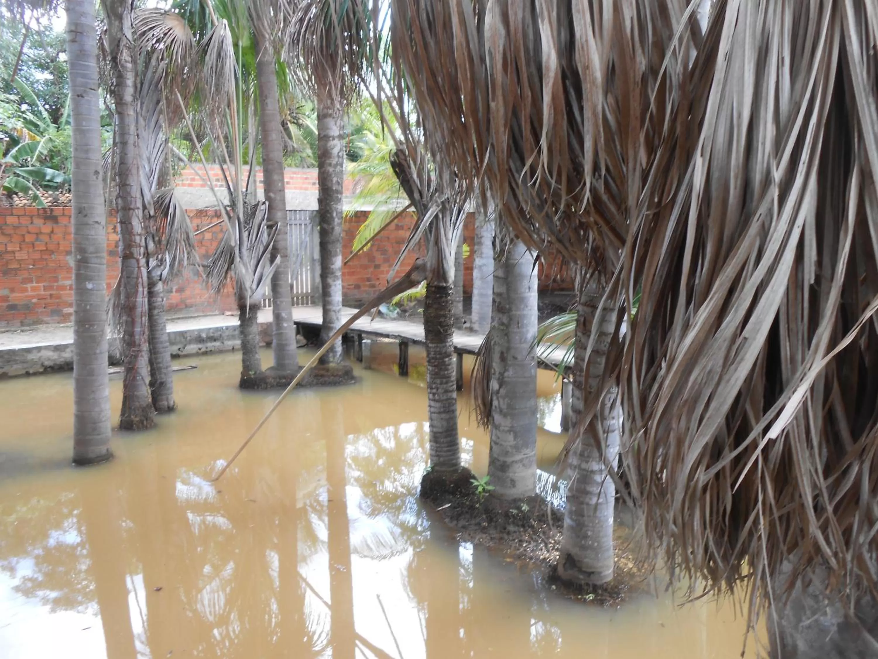 Garden in Pousada do Riacho