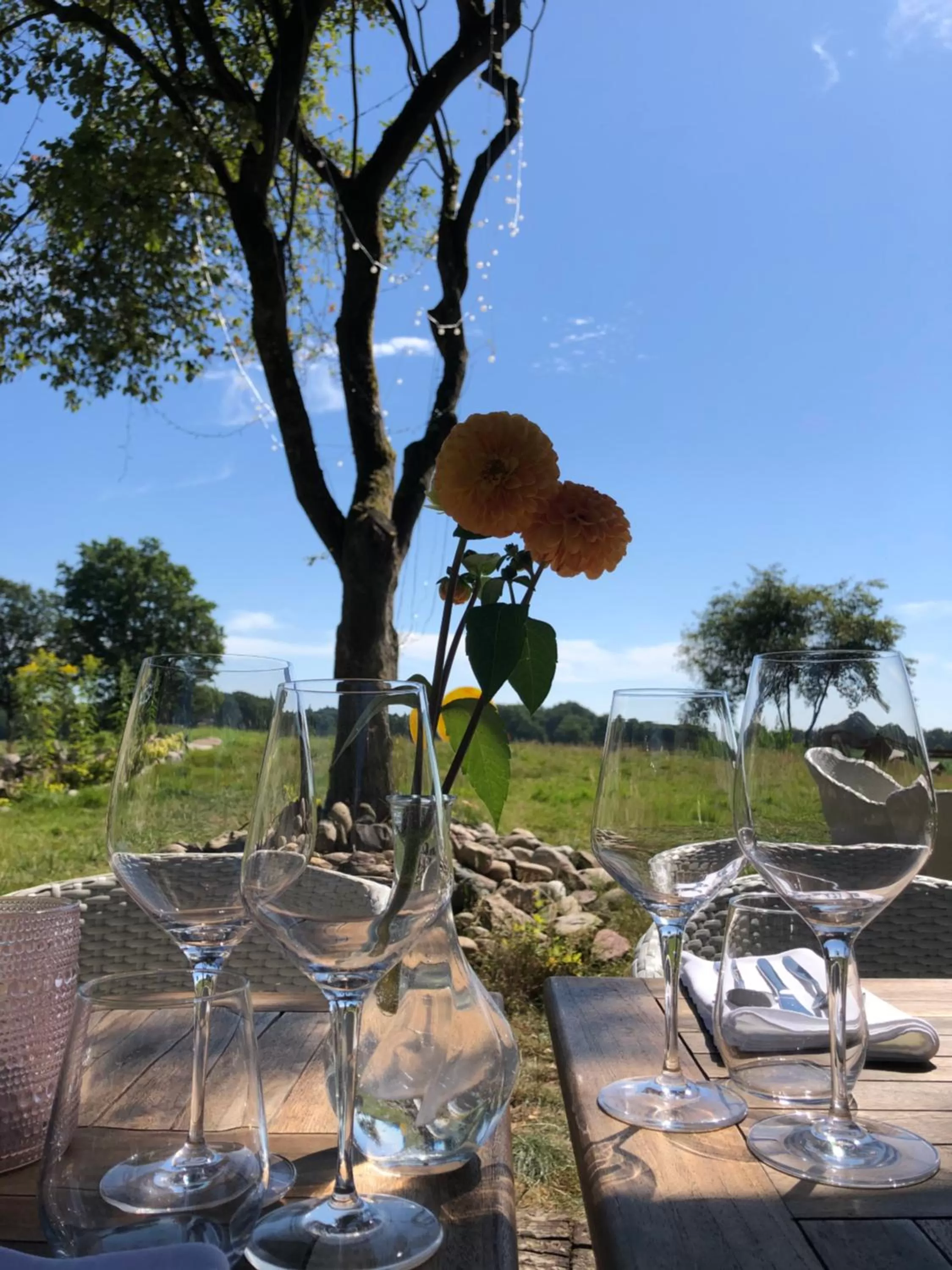 Villa BlauwHemel Diever