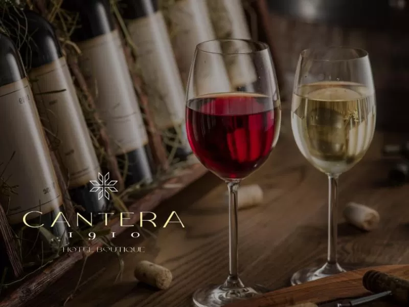 Drinks in Cantera 1910 Hotel Boutique, Destination Hotel