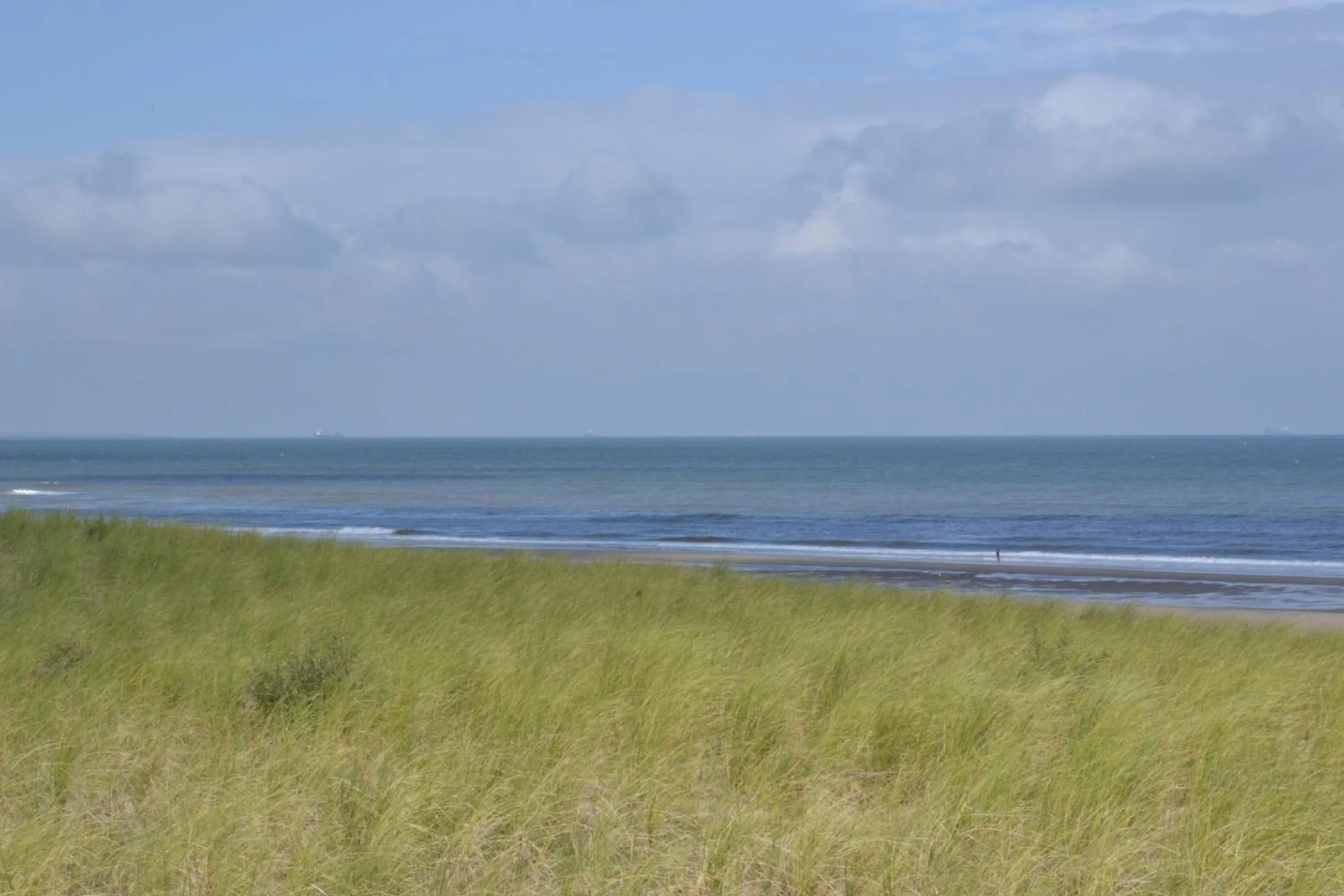 Area and facilities in Fletcher Hotel - Restaurant Elzenduin