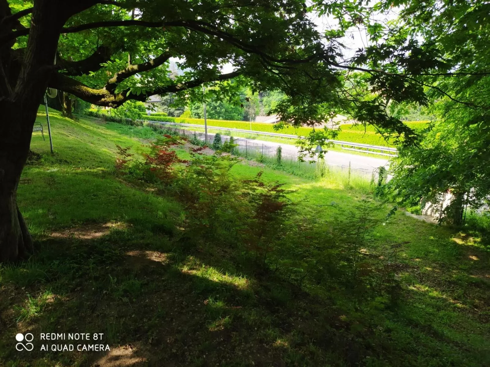 Garden in "La Selvetta" bed and breakfast