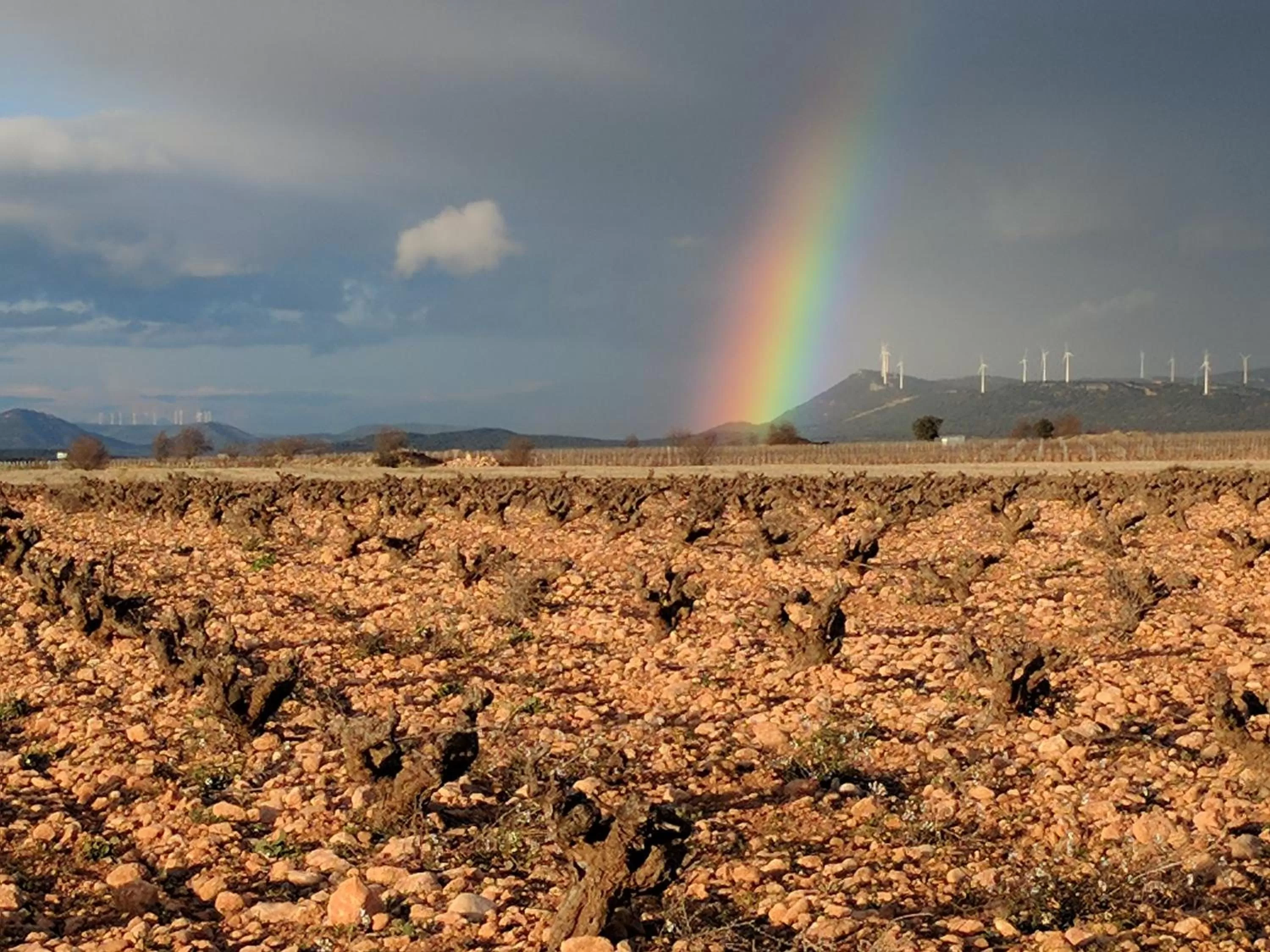 Natural landscape in Finca El Romeral