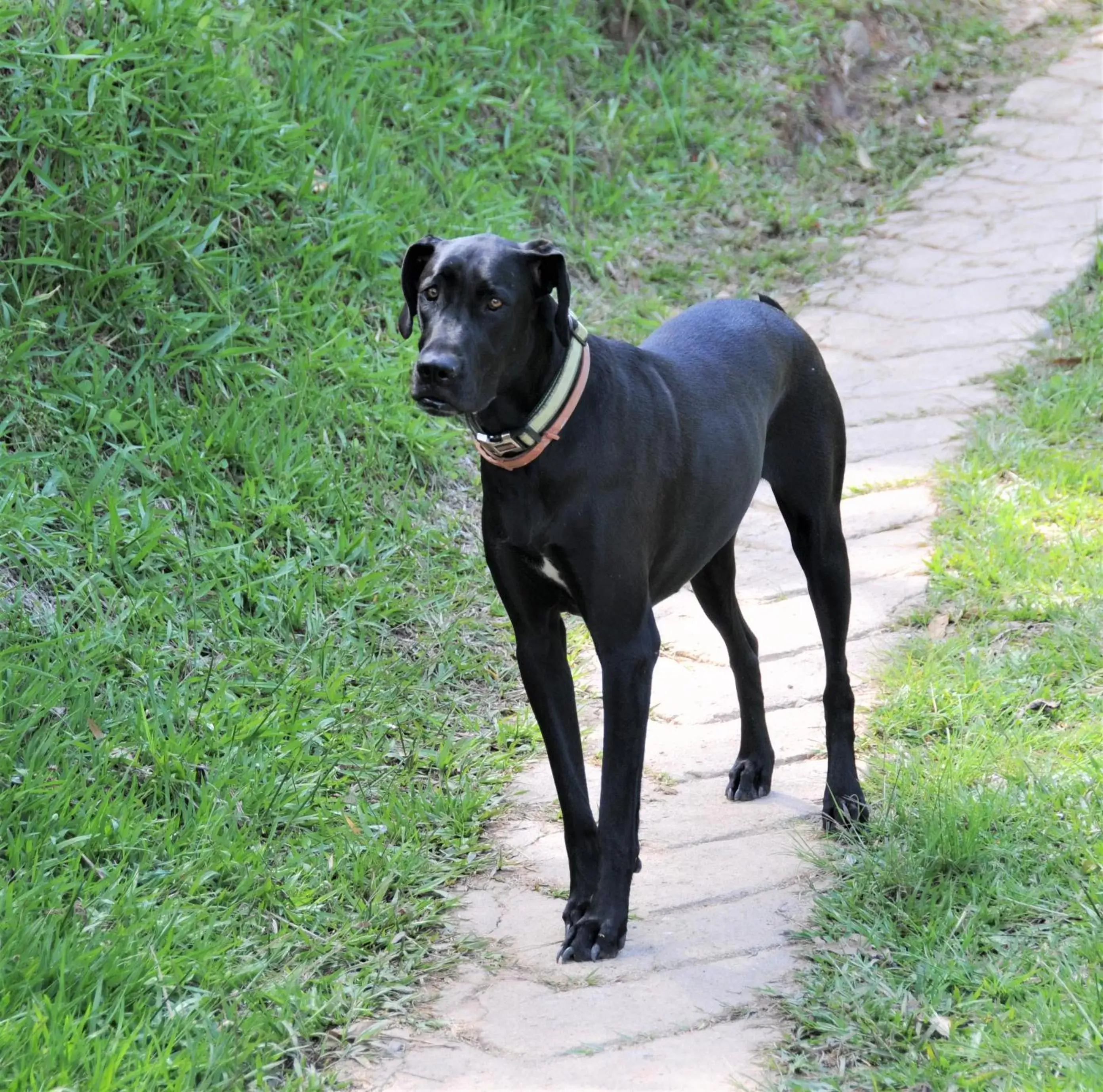 Family Room with Garden View in Casa finca típica the lake hotel Family Room with Garden View in Casa finca típica the lake hotel