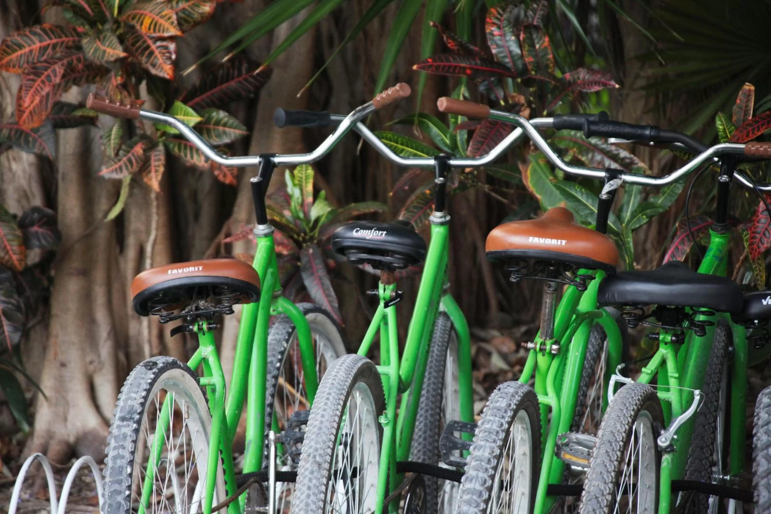 Cycling in Select Club at Sandos Caracol All Inclusive - Adults Only Area