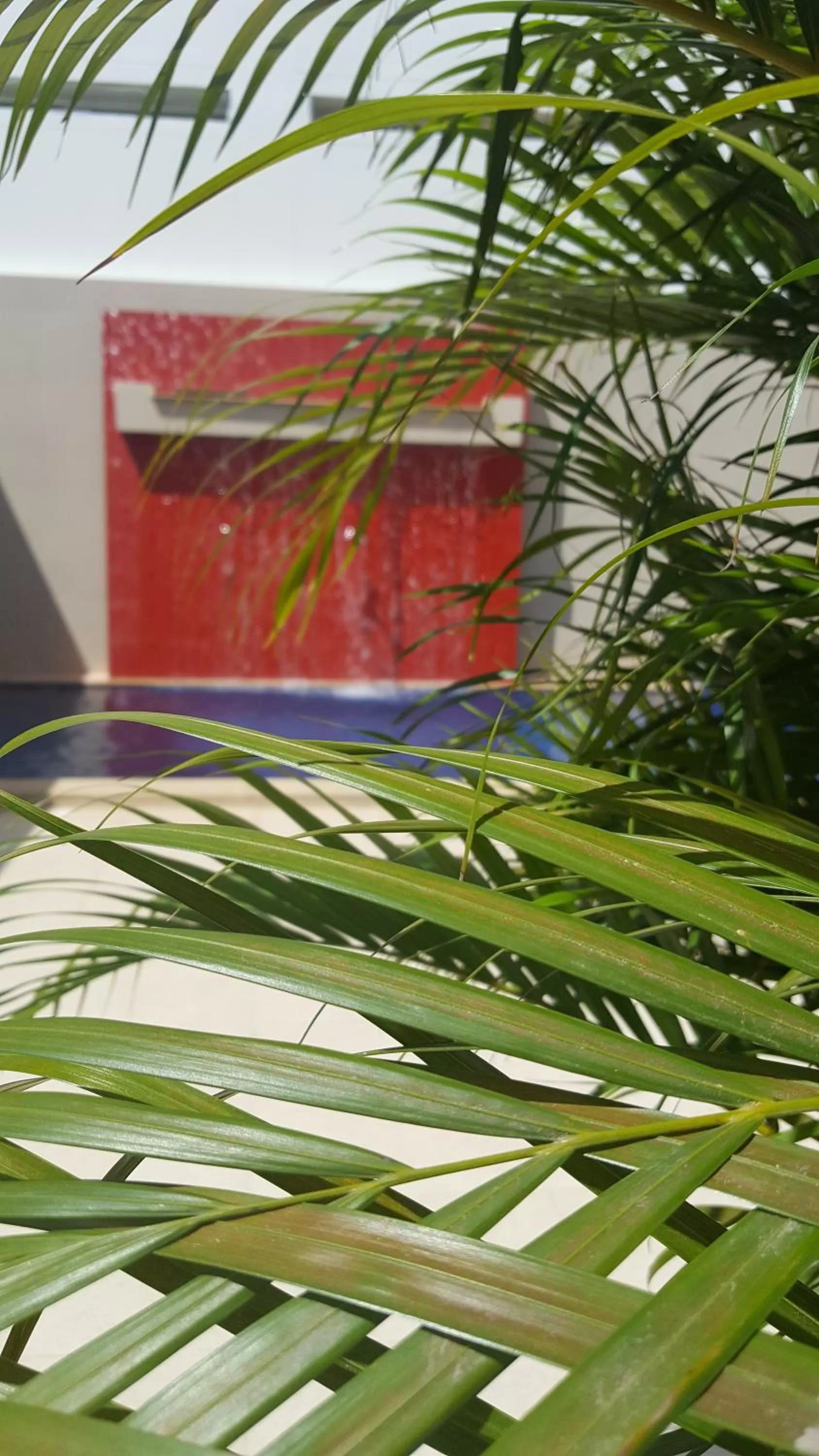 Swimming pool in Casa Murillo Hotel