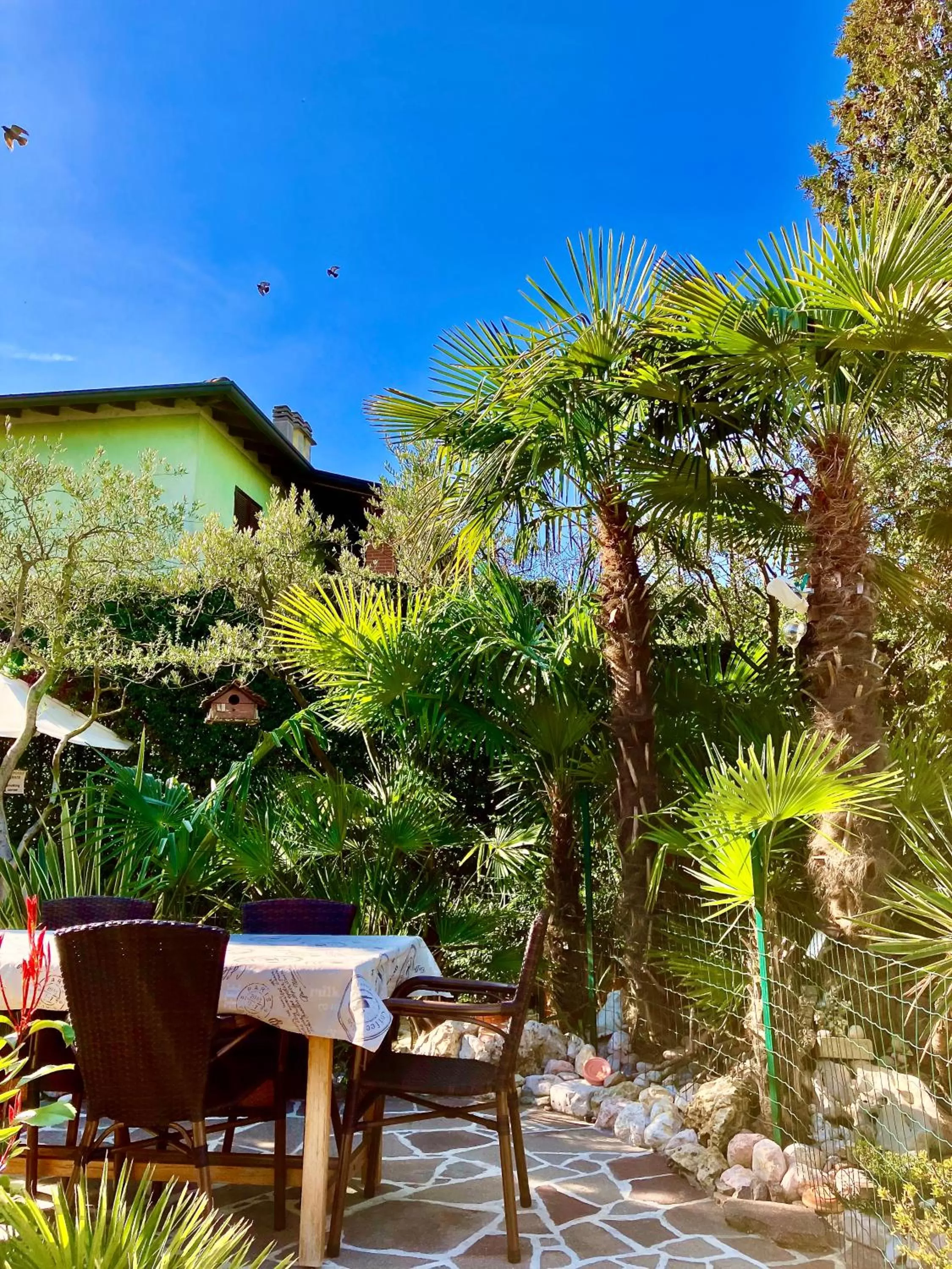 Patio in B&B Desenzano Paradise