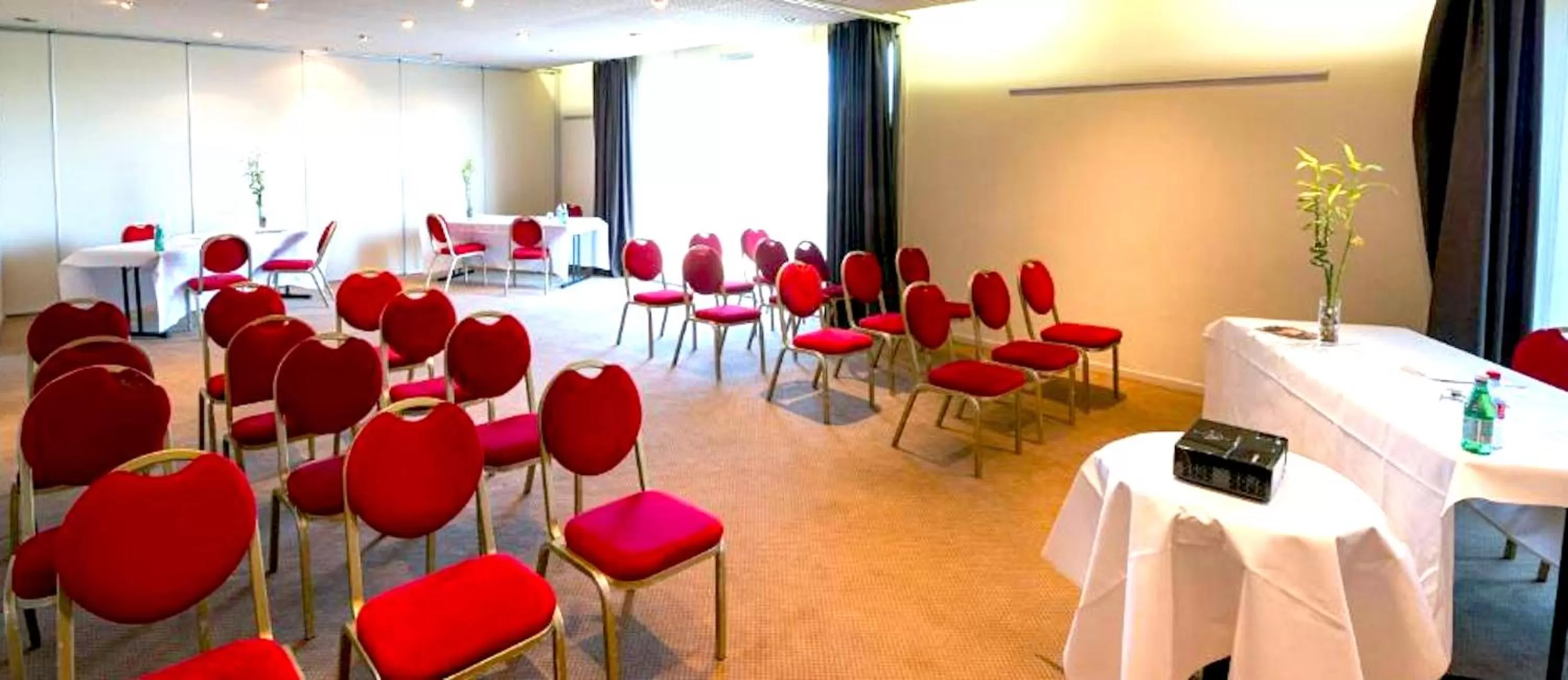 Business facilities in Kyriad Prestige Mulhouse - Basel
