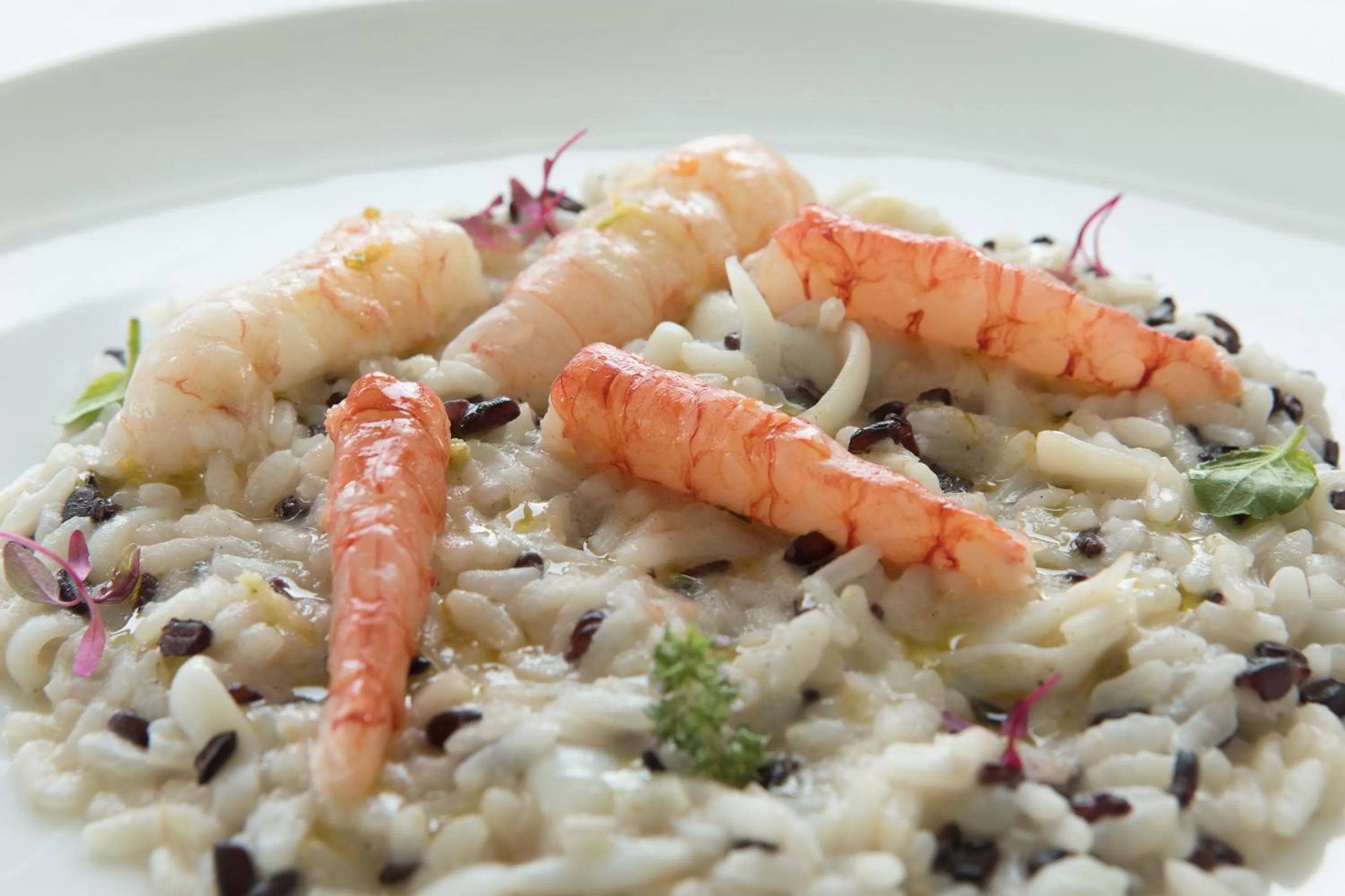 Food close-up in Lloyd's Baia Hotel
