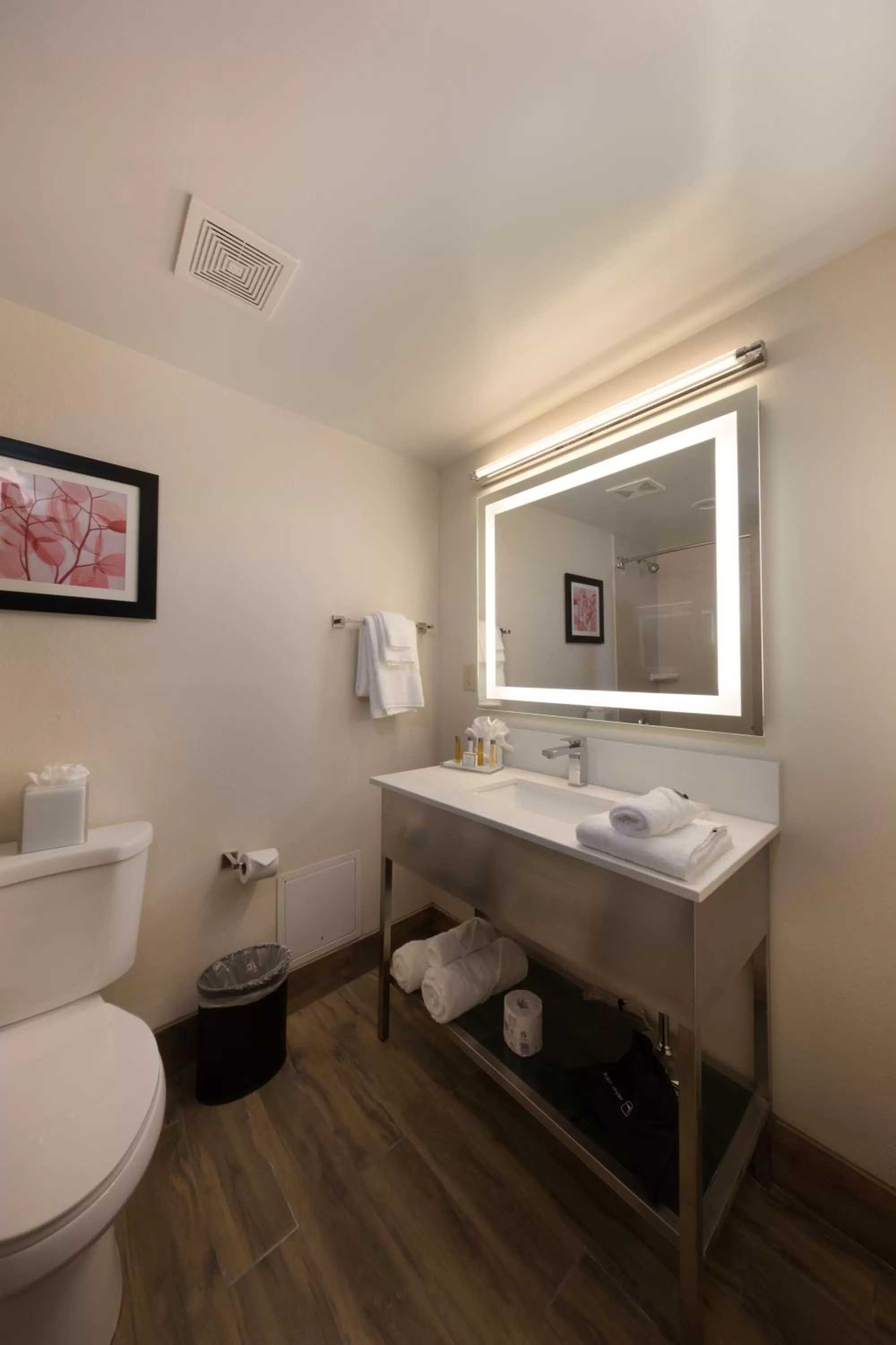 Bathroom in Holiday Inn Brookfield - Milwaukee by IHG