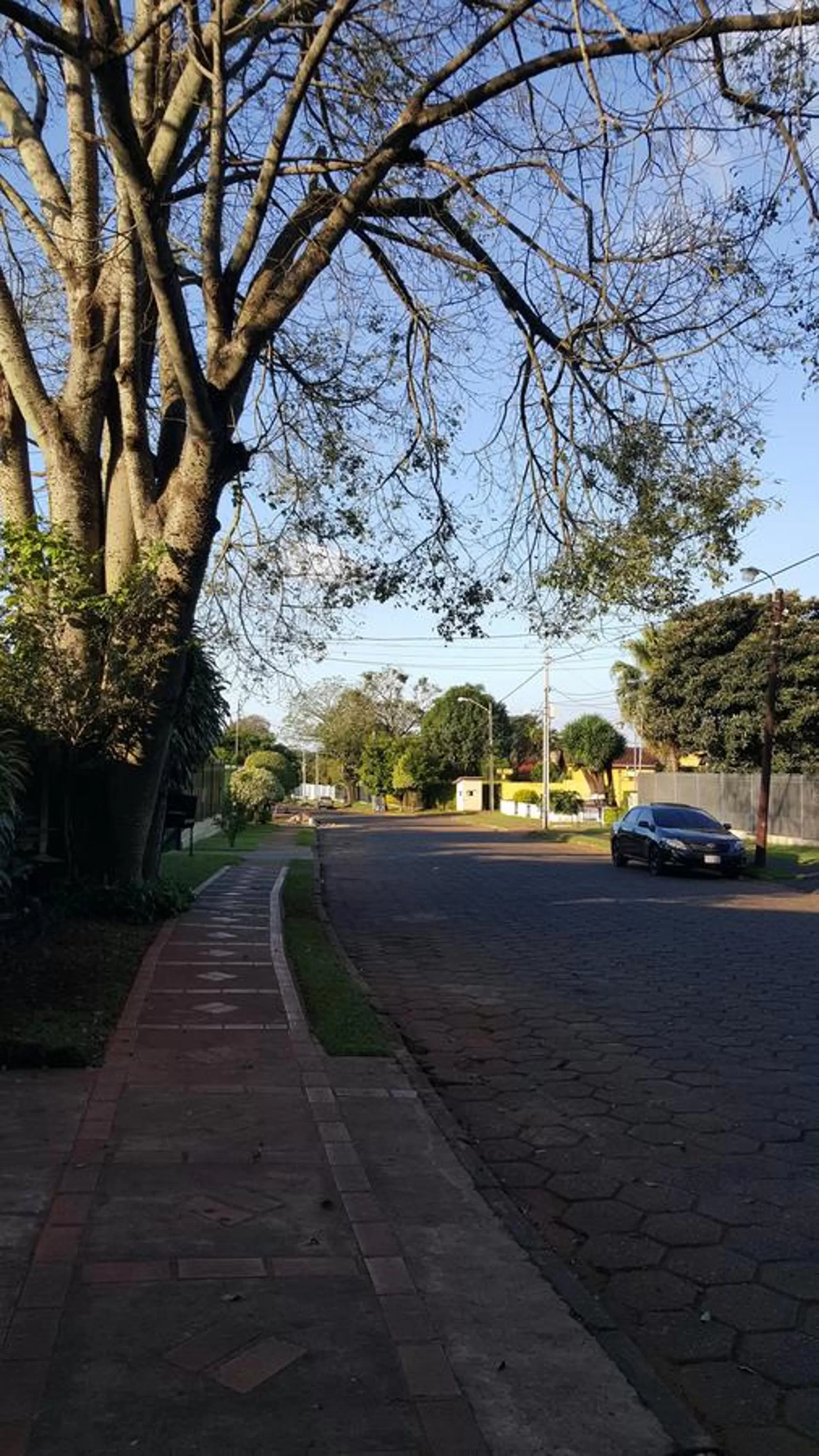 View (from property/room) in Las Orquideas Parque Hotel