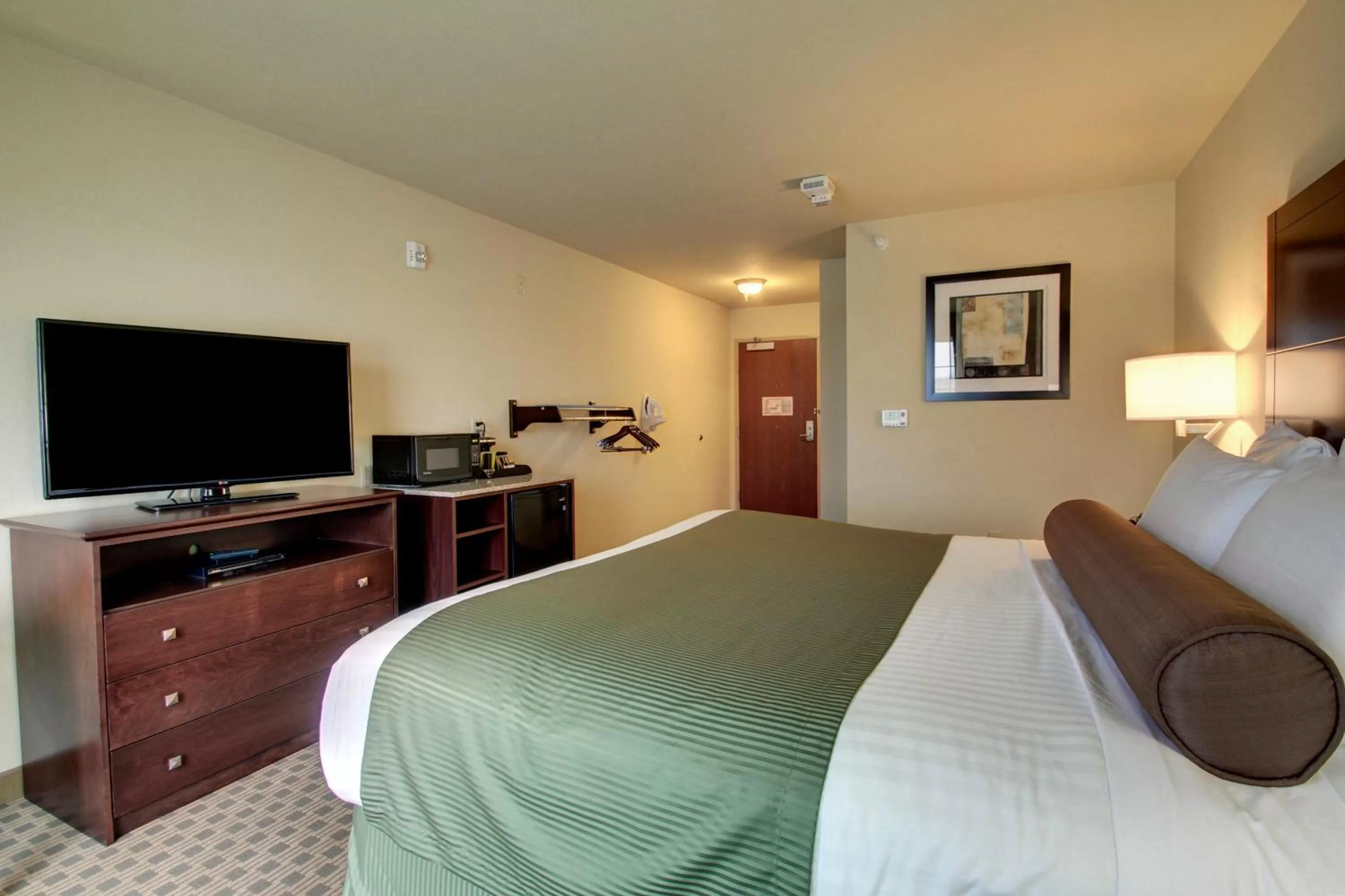 TV and multimedia in Cobblestone Inn & Suites Steele