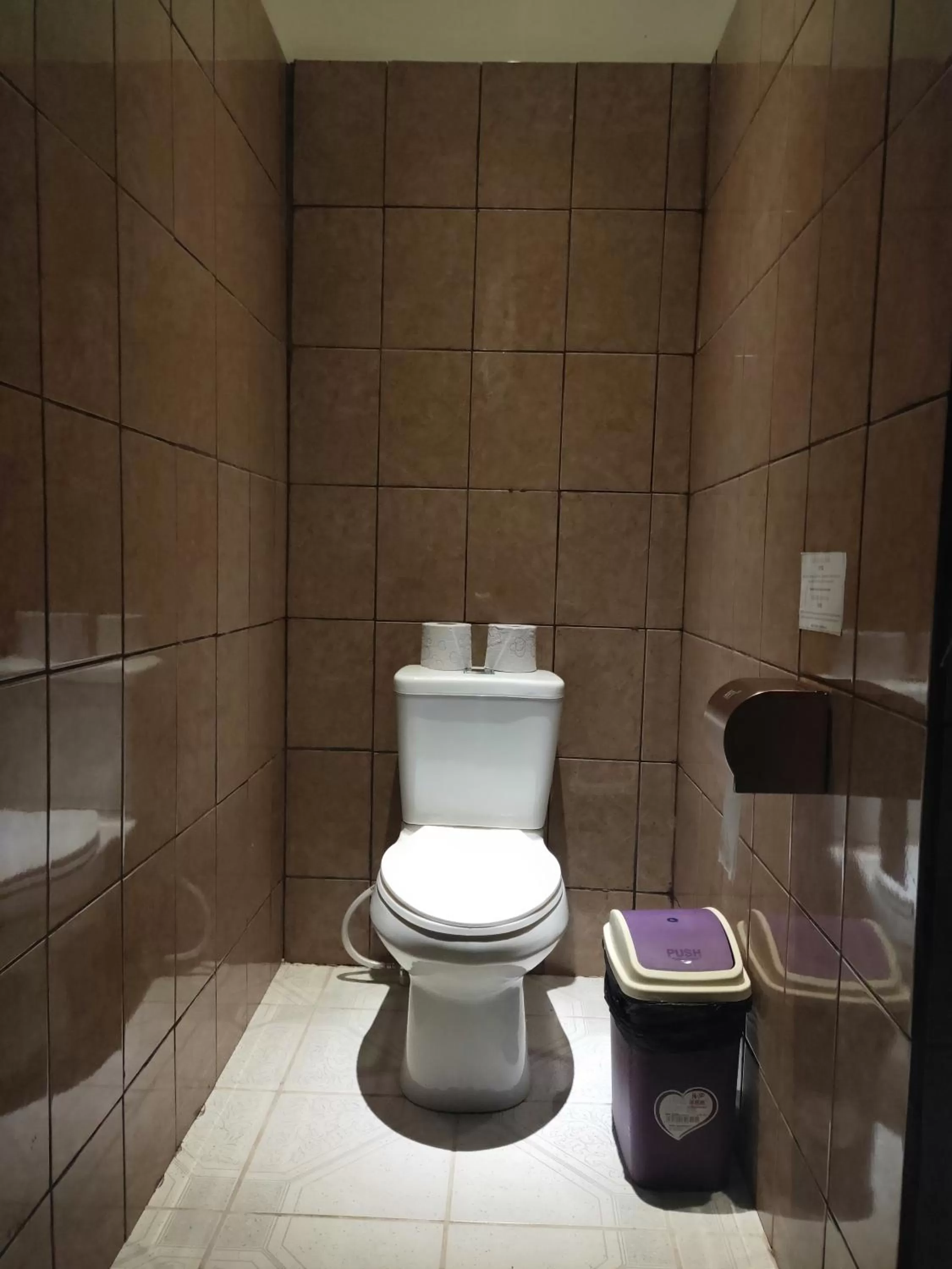 Toilet, Bathroom in Sunshine View Hotel and Restaurant