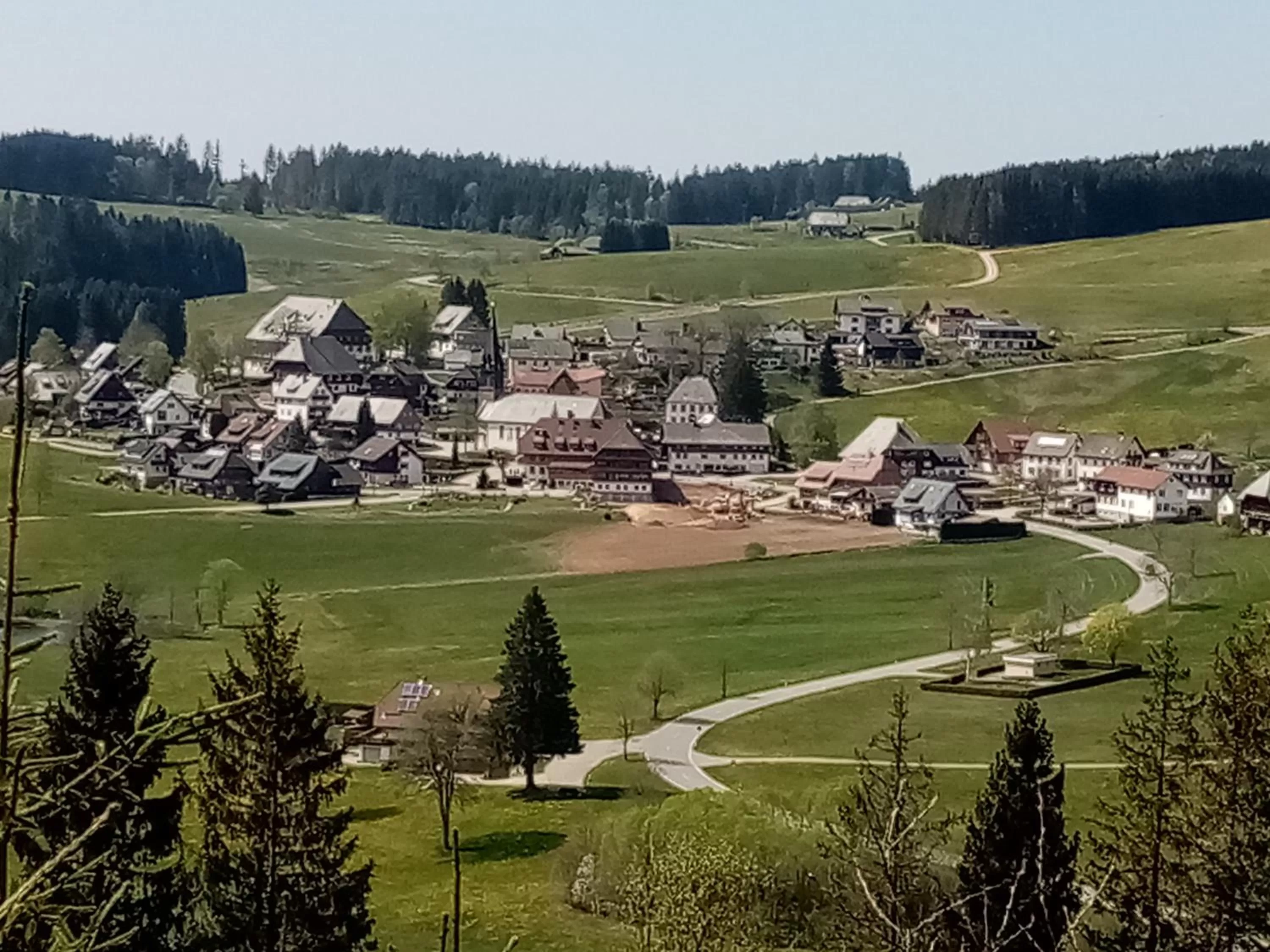 Natural landscape in ZUR TRAUBE Schwarzwaldhotel & Restaurant am Titisee