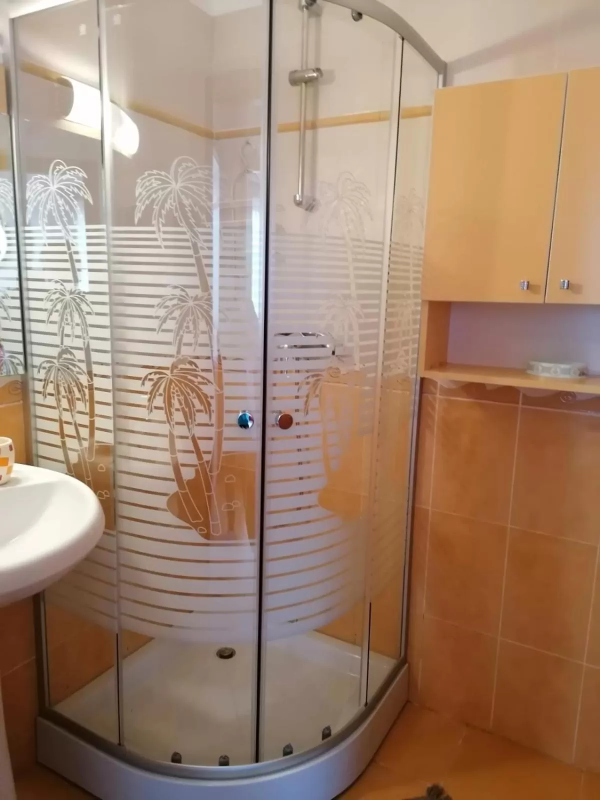 Shower, Bathroom in Villa Edera Residence - Gazda Profesionista