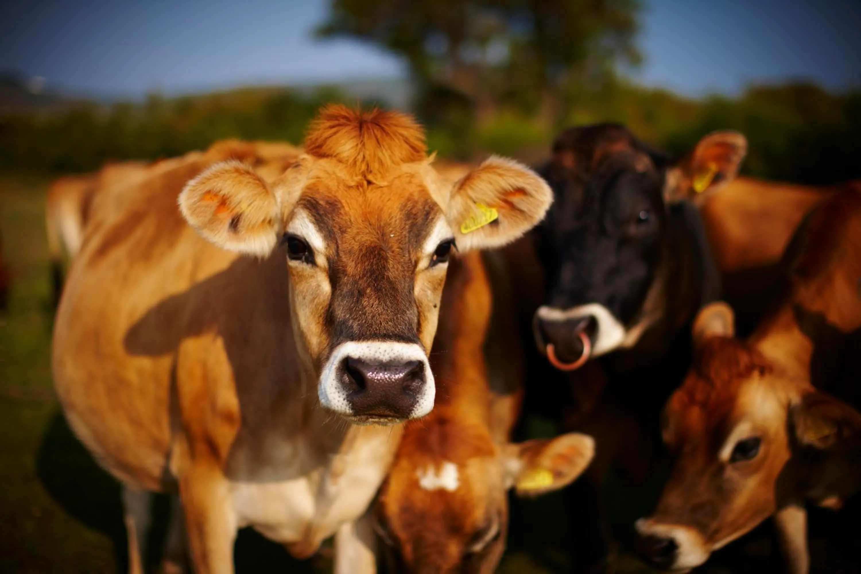 Other in Beachcombers Hotel