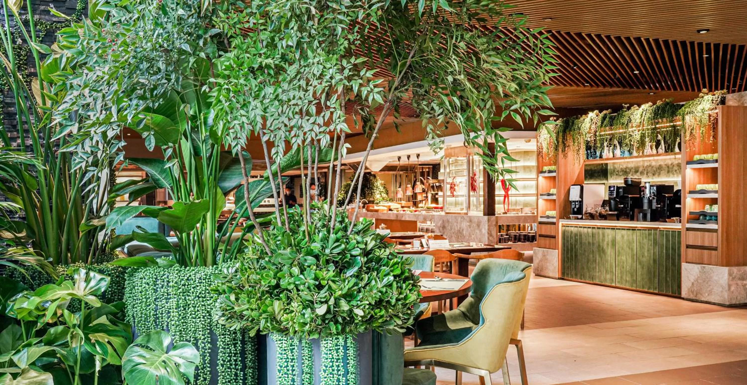 Restaurant/places to eat in Pullman Shanghai Central