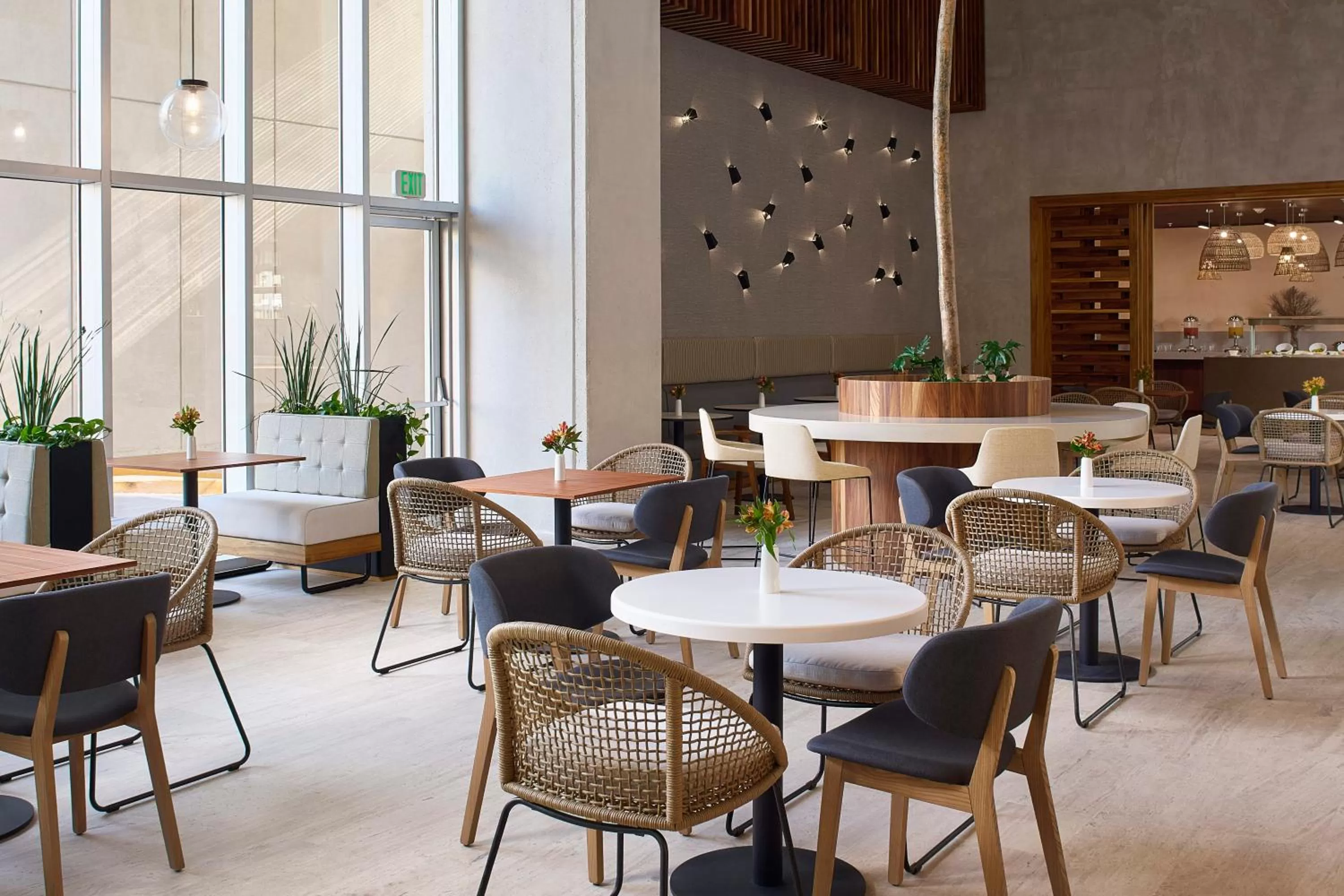 Restaurant/places to eat in Courtyard by Marriott Merida Downtown