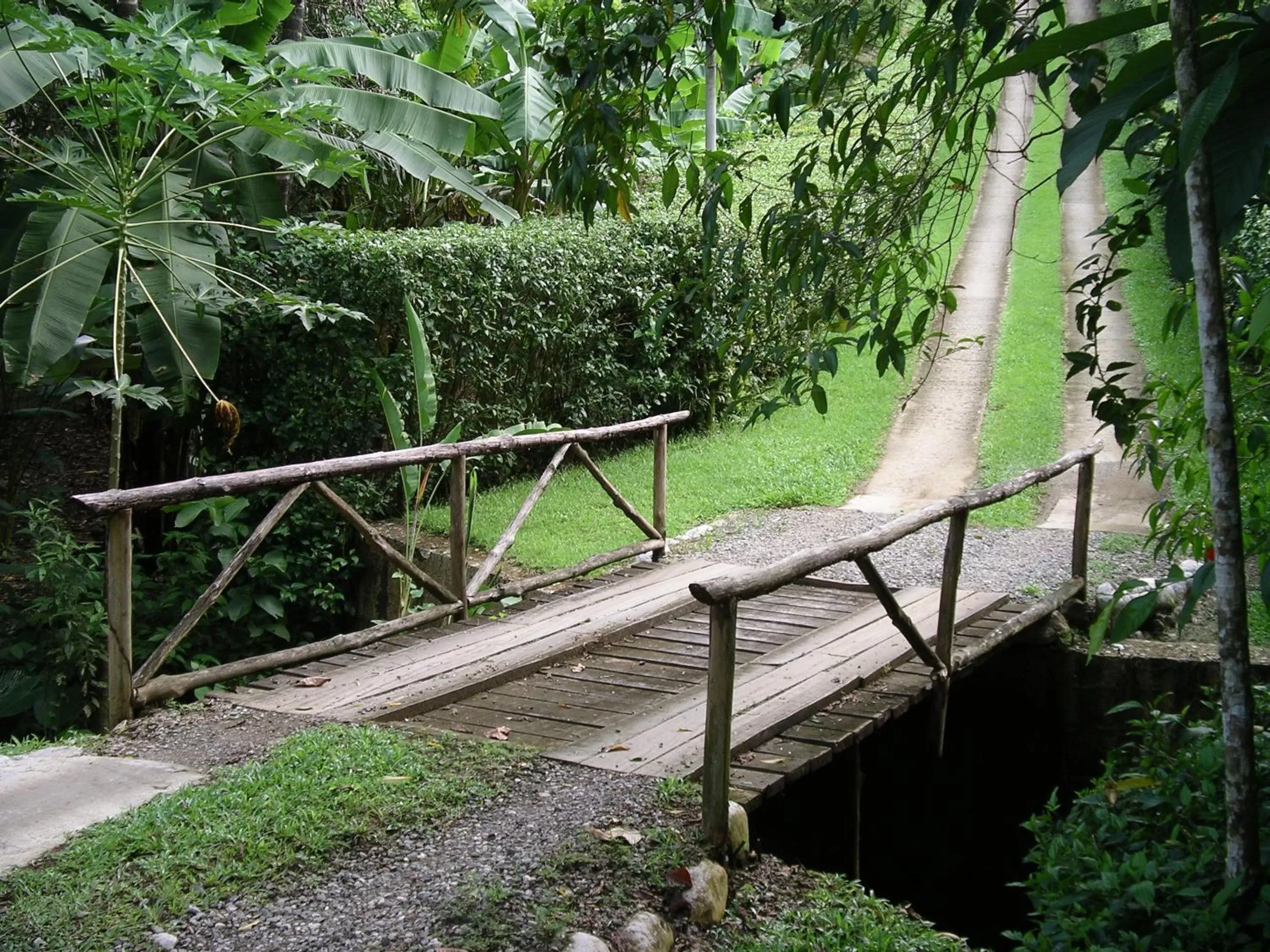 Area and facilities in La Purruja Lodge
