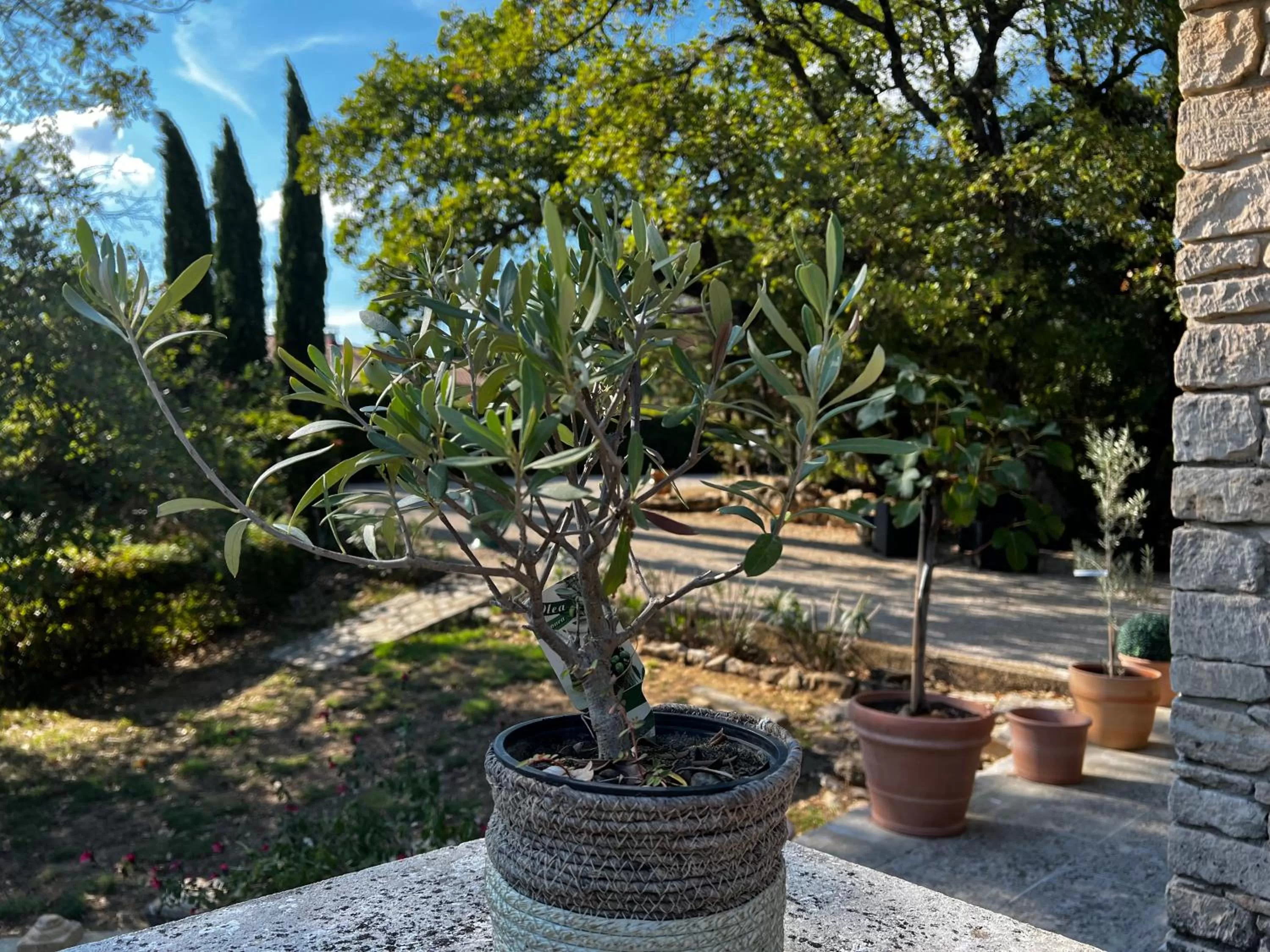 Parking, Garden in Le clos des songes.