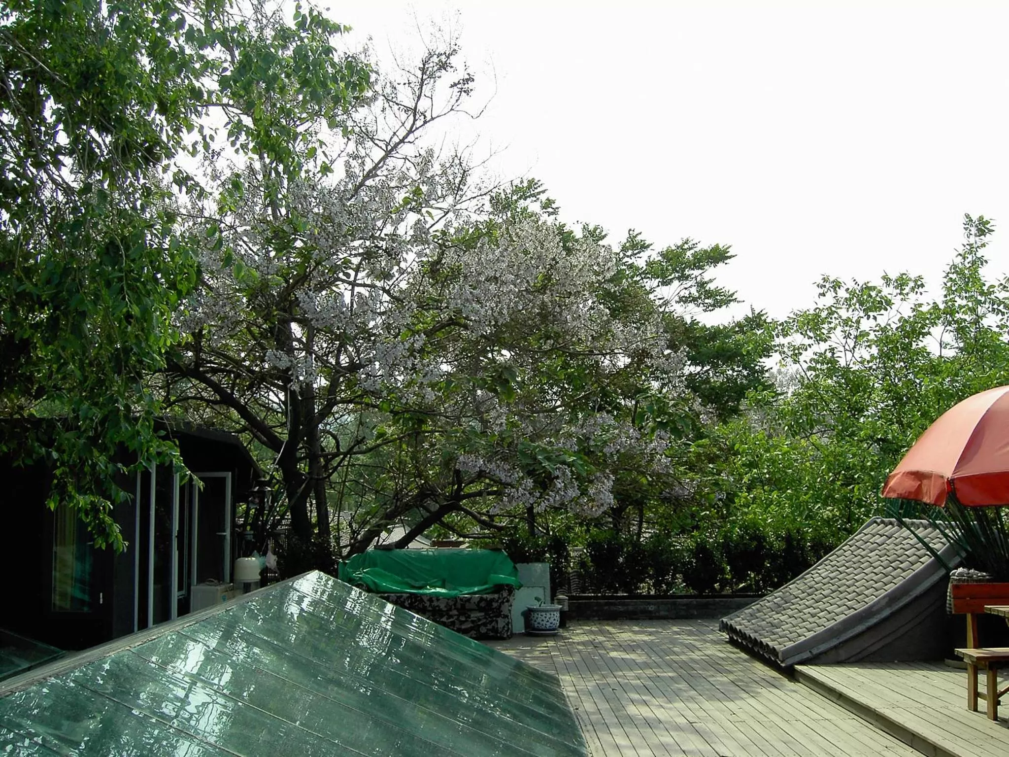 Balcony/Terrace, View in Kelly‘s Courtyard Hotel