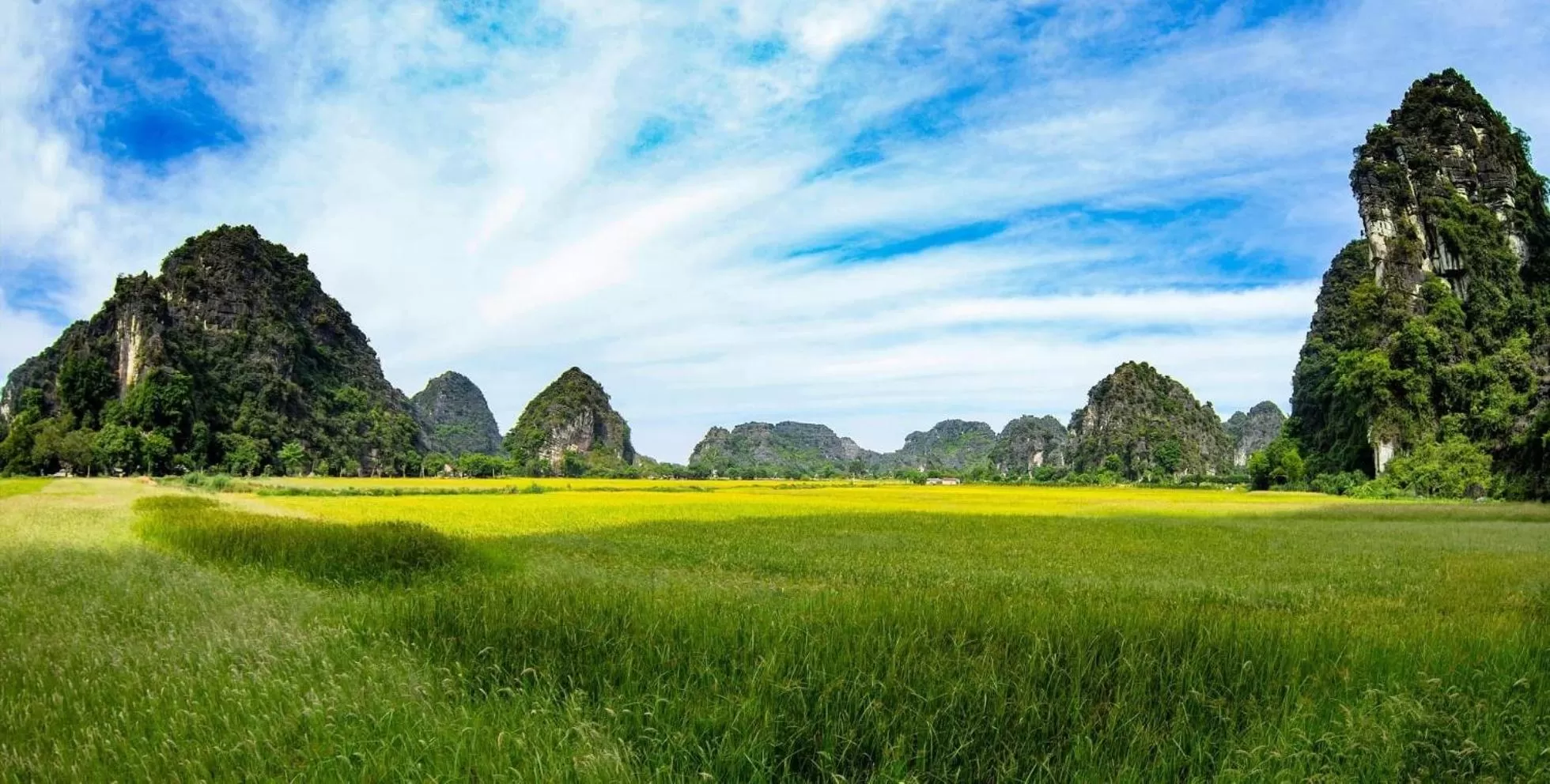 Natural landscape in Trang An Lotus Lake Homestay