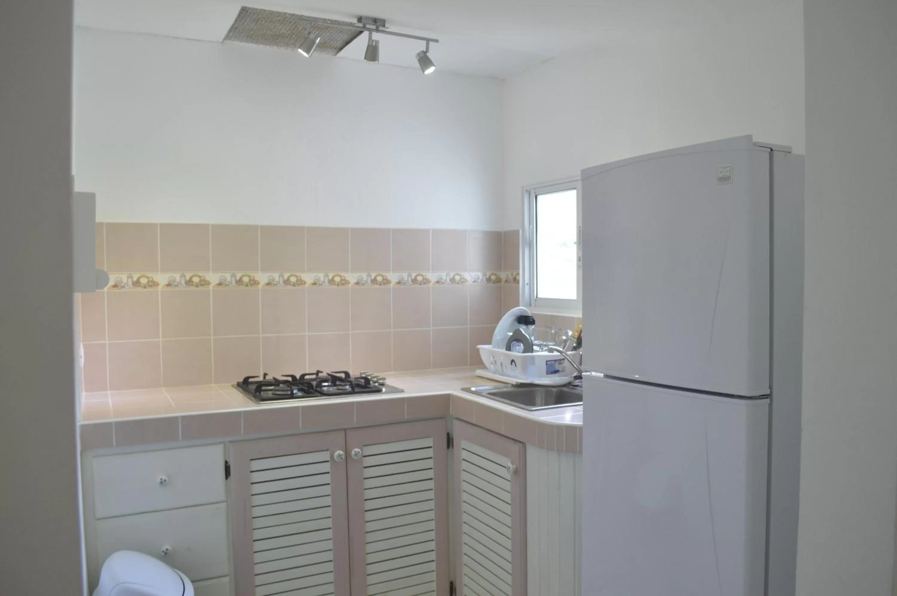 Kitchen or kitchenette in Costarena Beach Hotel