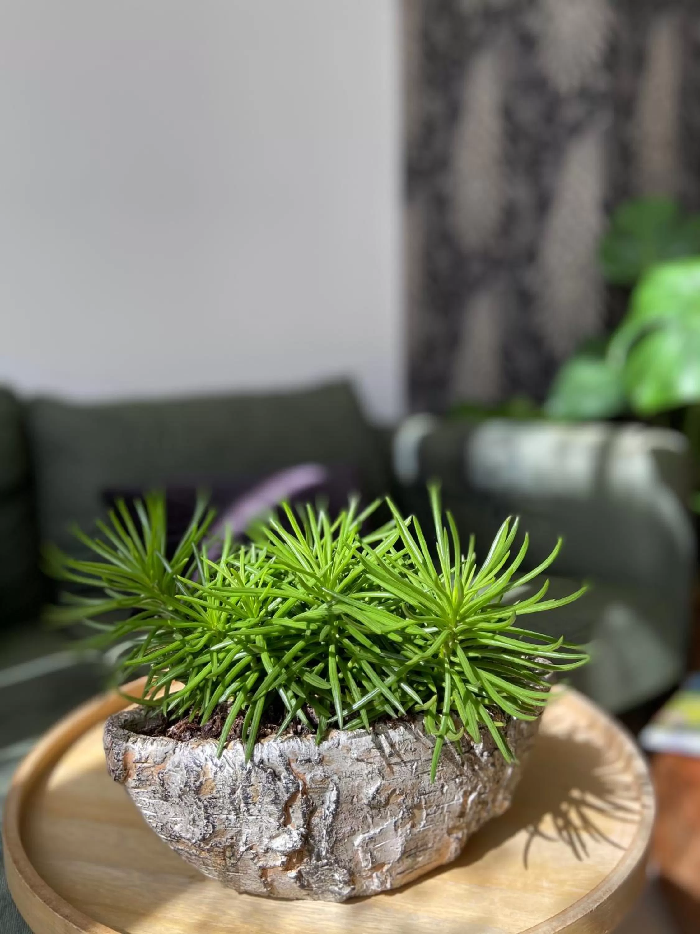 Communal kitchen in B&B Het Atelier