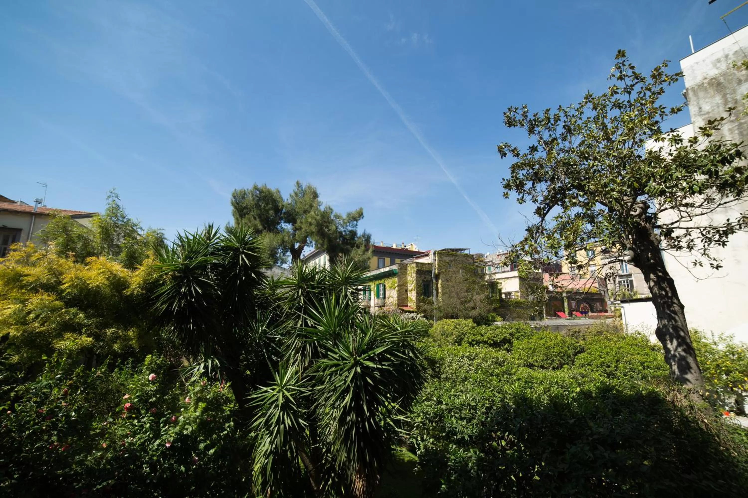 Garden view in The Bellini House by House In Naples