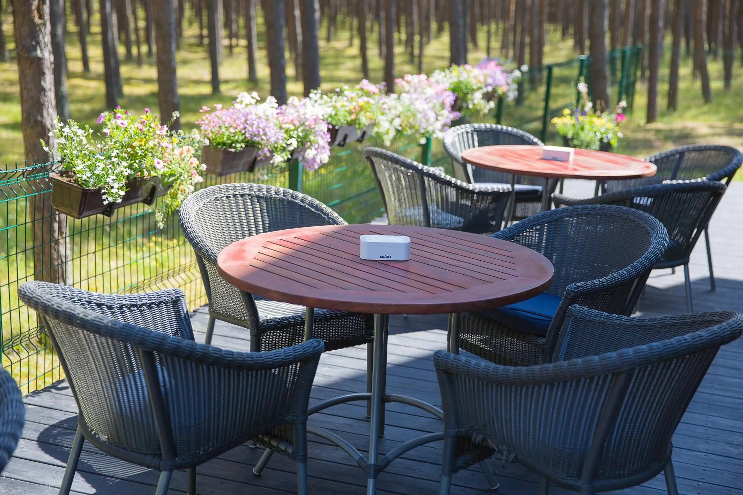 Restaurant/places to eat in Meduza Hotel