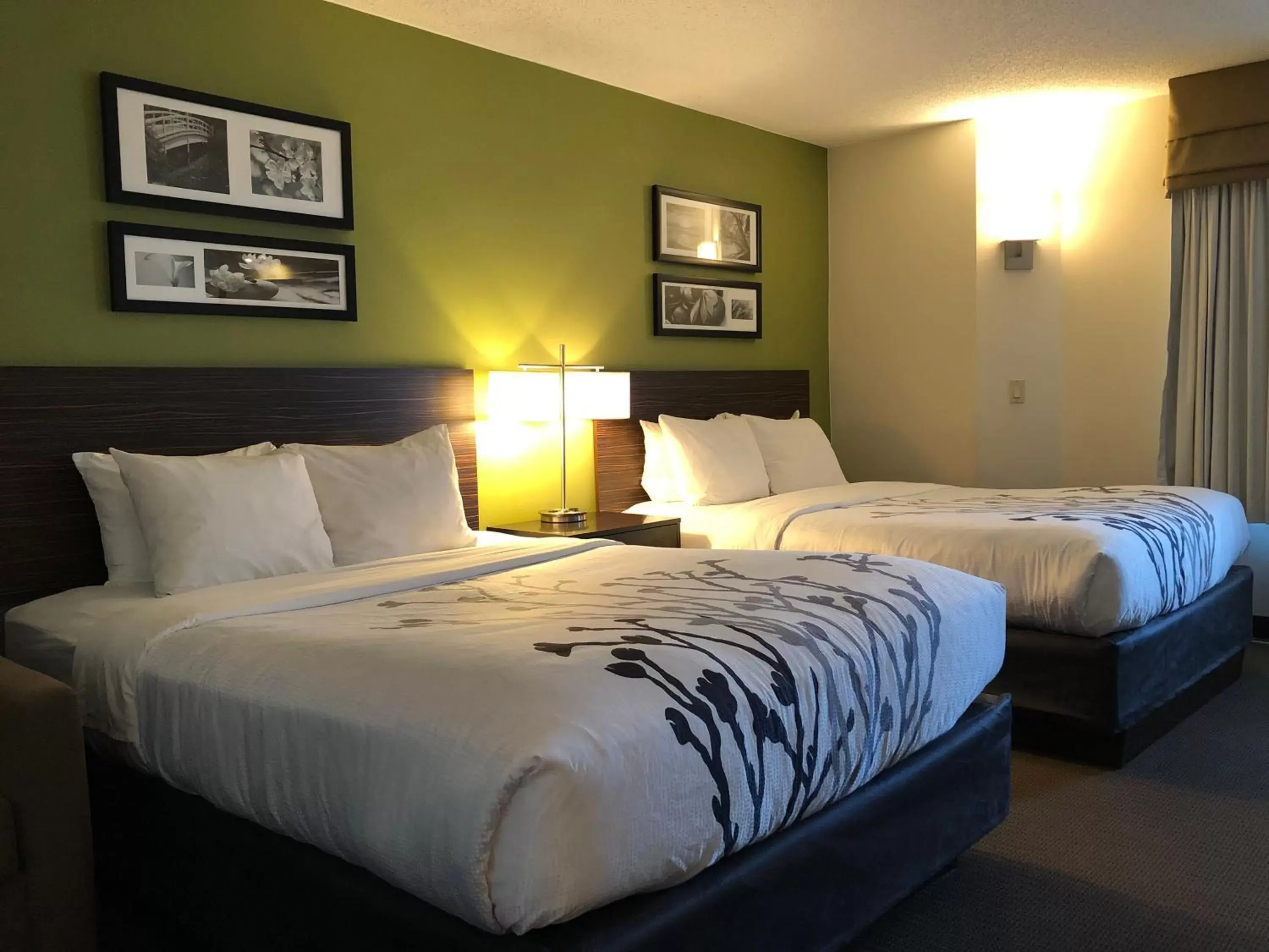 Double Room with Two Double Beds - Pet Friendly in Sleep Inn & Suites Roseburg North Near Medical Center Double Room with Two Double Beds - Pet Friendly in Sleep Inn & Suites Roseburg North Near Medical Center