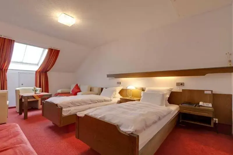 Triple Room in Alte Kelter Triple Room in Alte Kelter