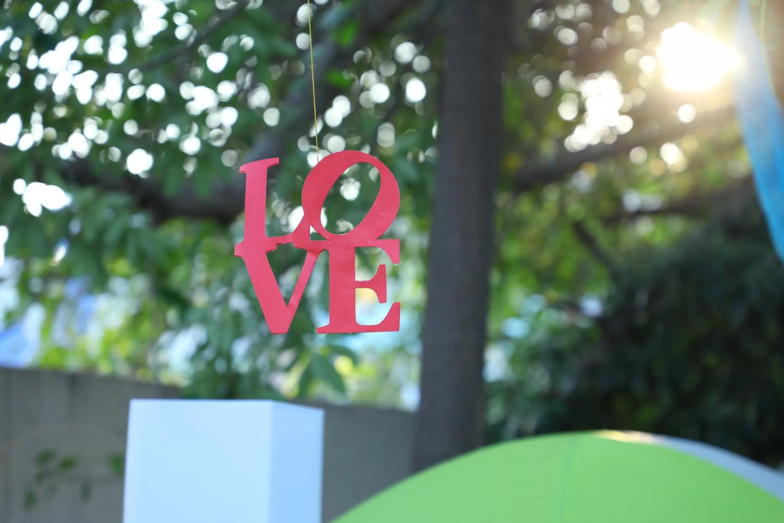 Area and facilities in Novotel Chennai OMR