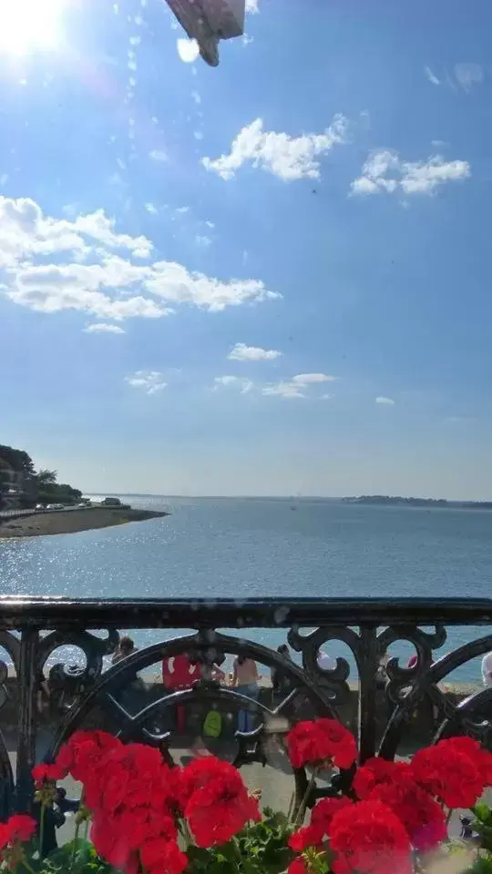 Double Room with Sofa Bed in Anglesey Arms Double Room with Sofa Bed in Anglesey Arms