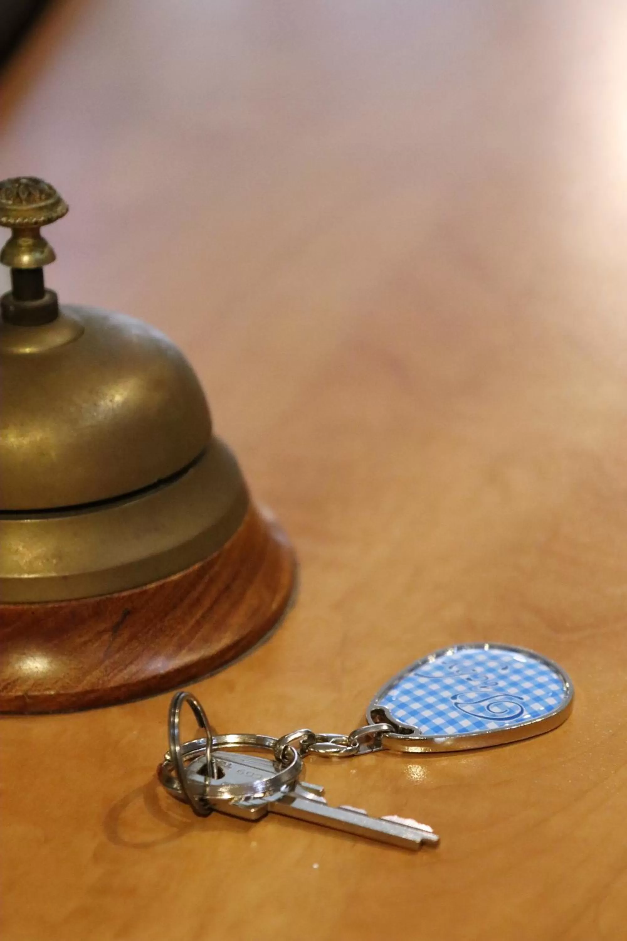Lobby or reception in Hôtel & Restaurant Le Patio VICHY