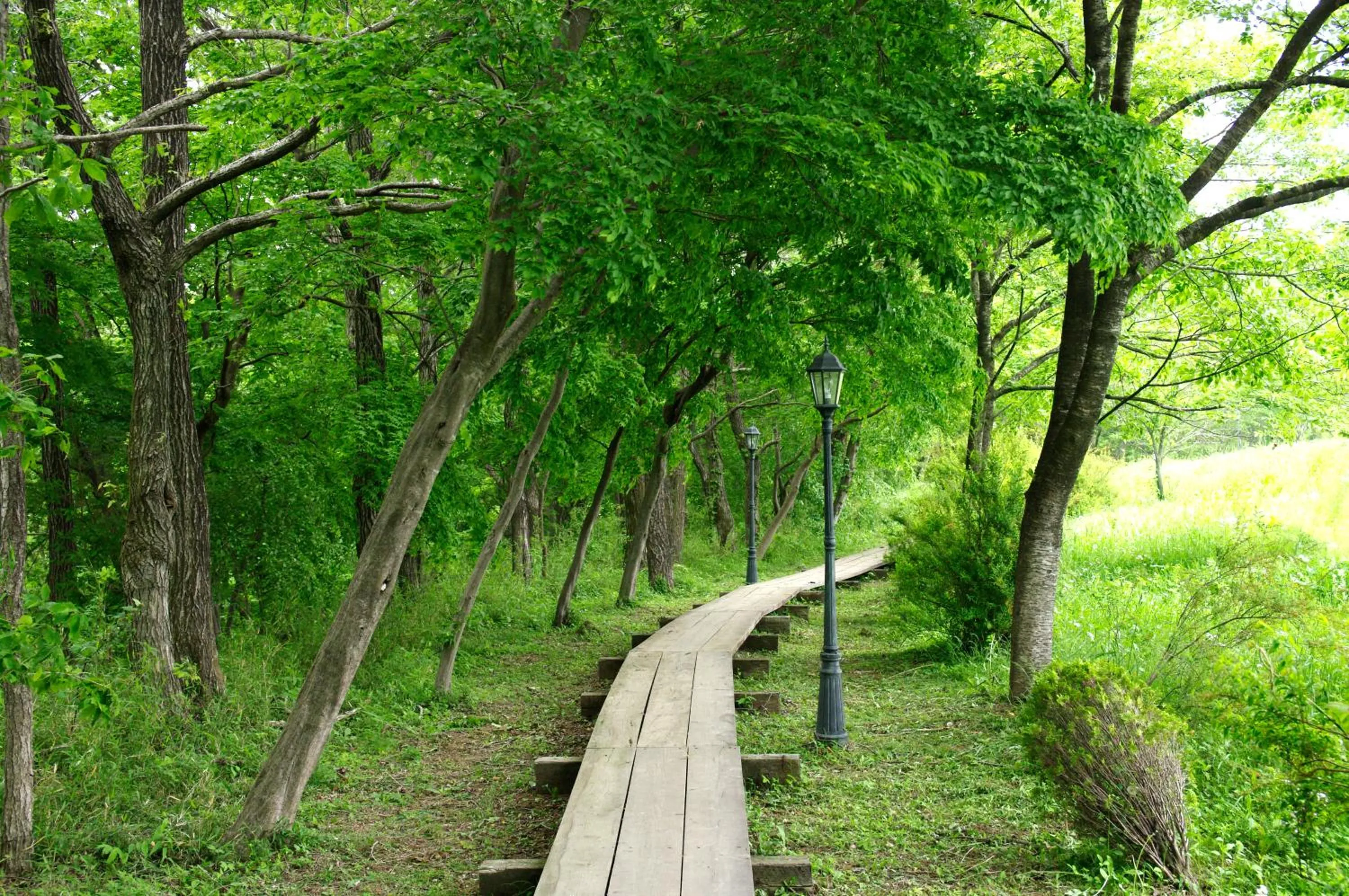 Decorative detail in Hotel Floracion Nasu