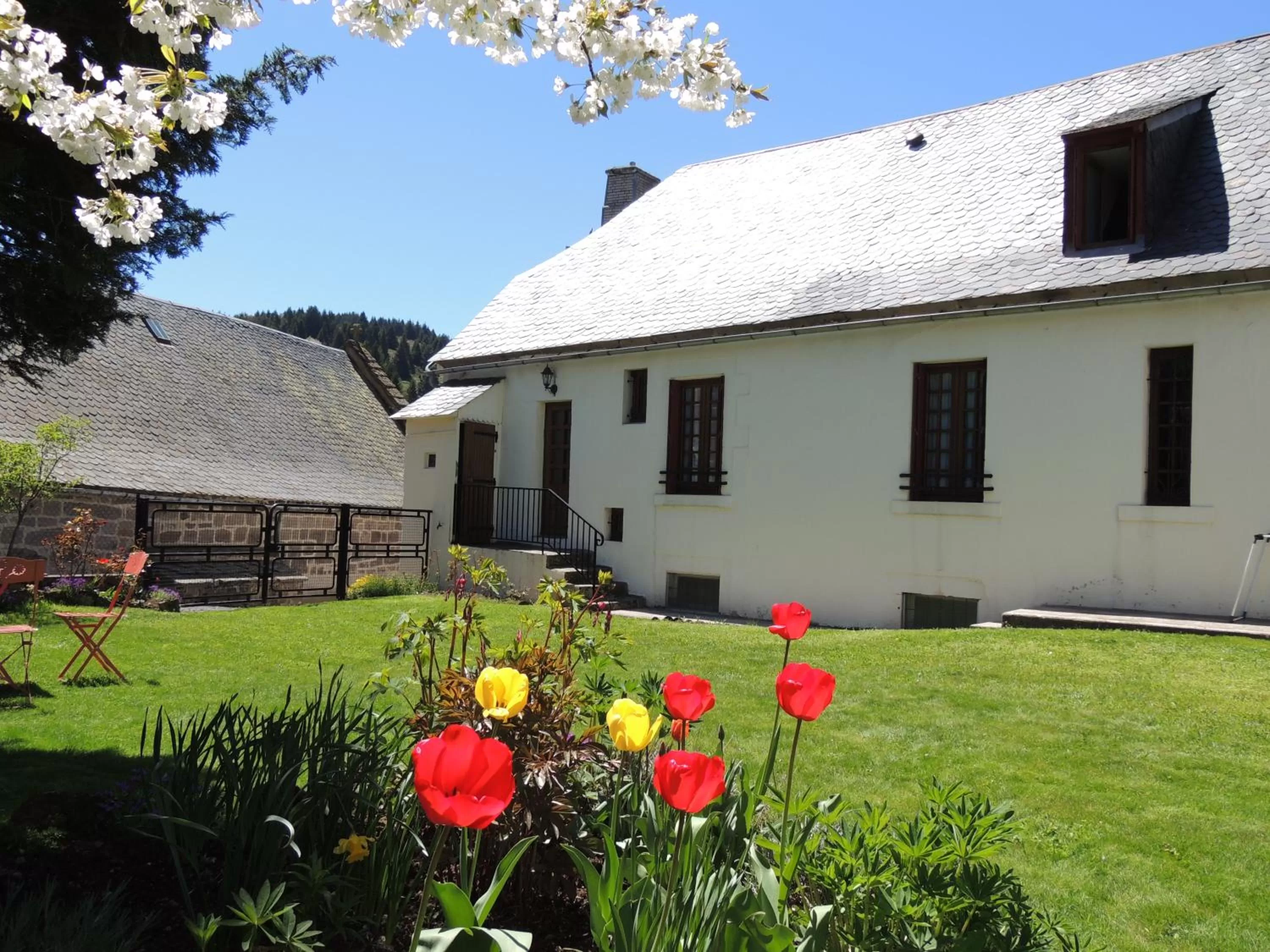 Garden view in Hôtel Restaurant du Plomb du Cantal