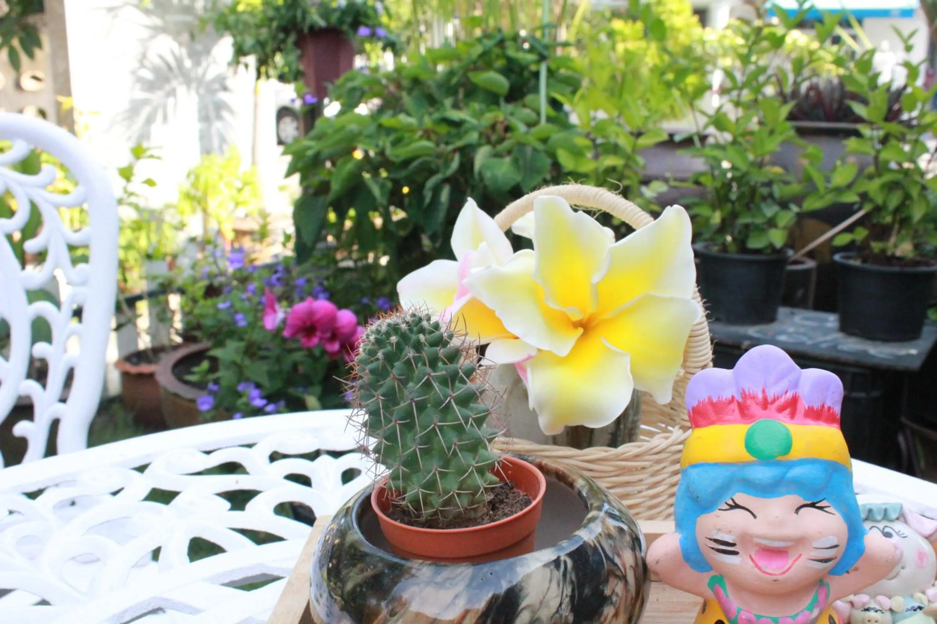 Natural landscape in Eat n Sleep