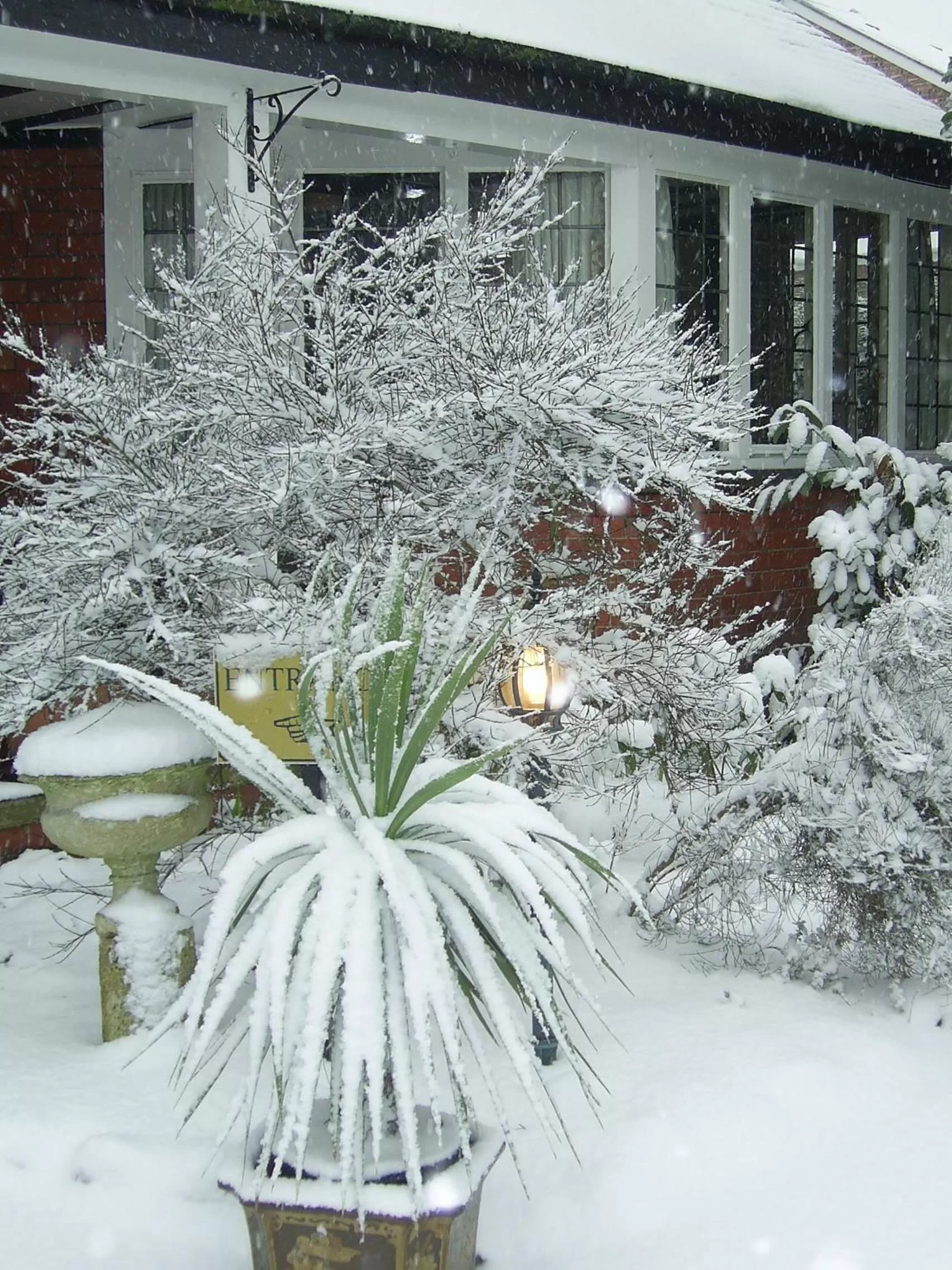 Winter in Barons Court Hotel
