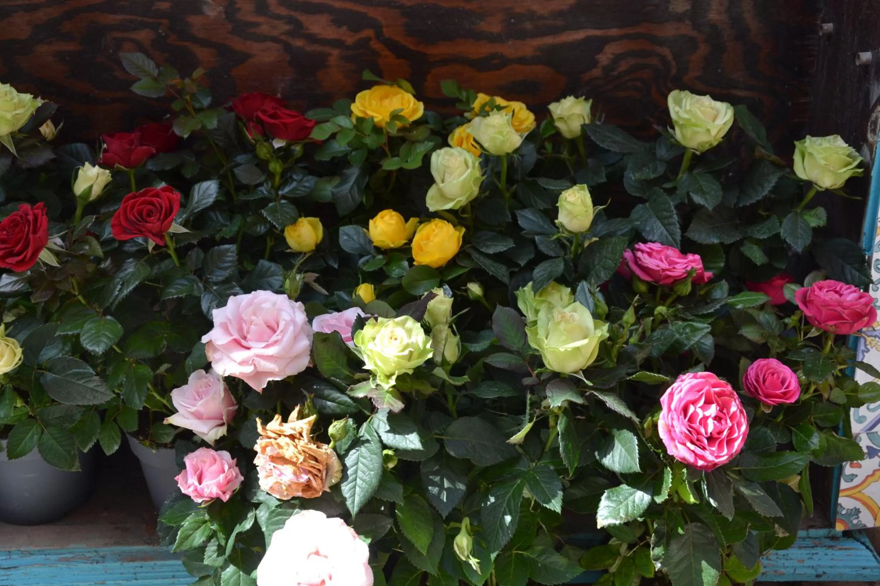 Decorative detail in Terra Murata Boutique b&b