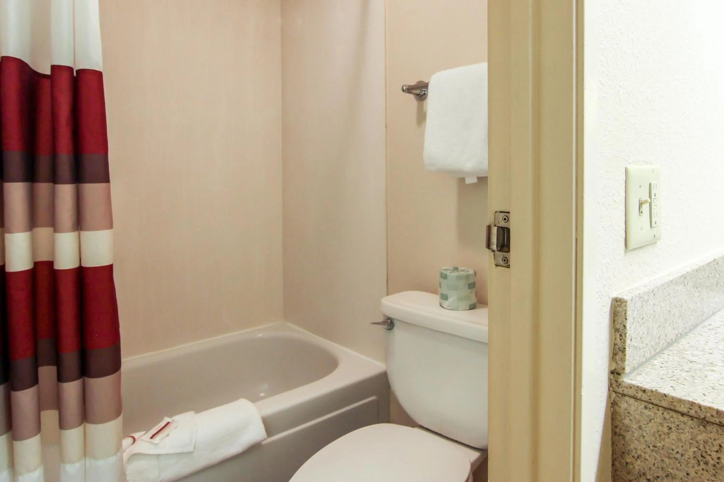 Bathroom in Red Roof Inn Detroit - Troy