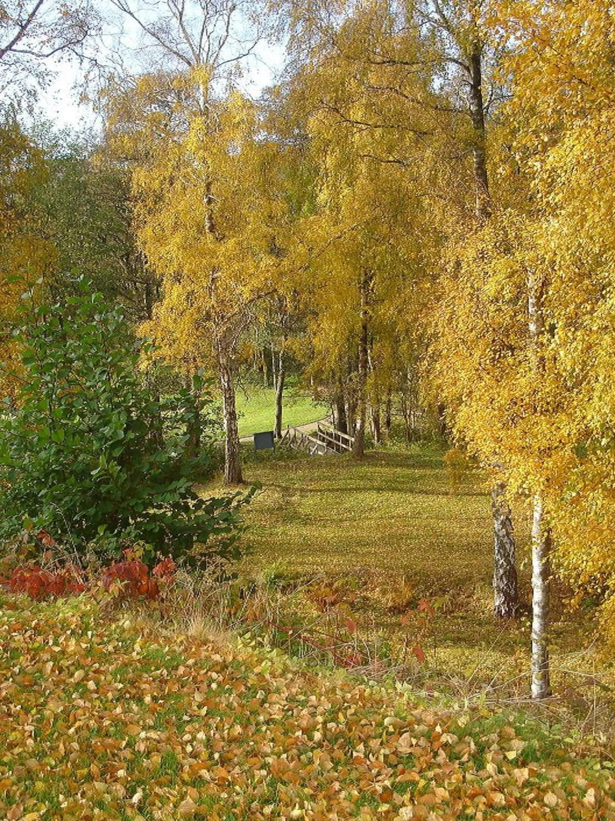 Area and facilities in Tylebäck Hotell & Konferens, BW Signature Collection