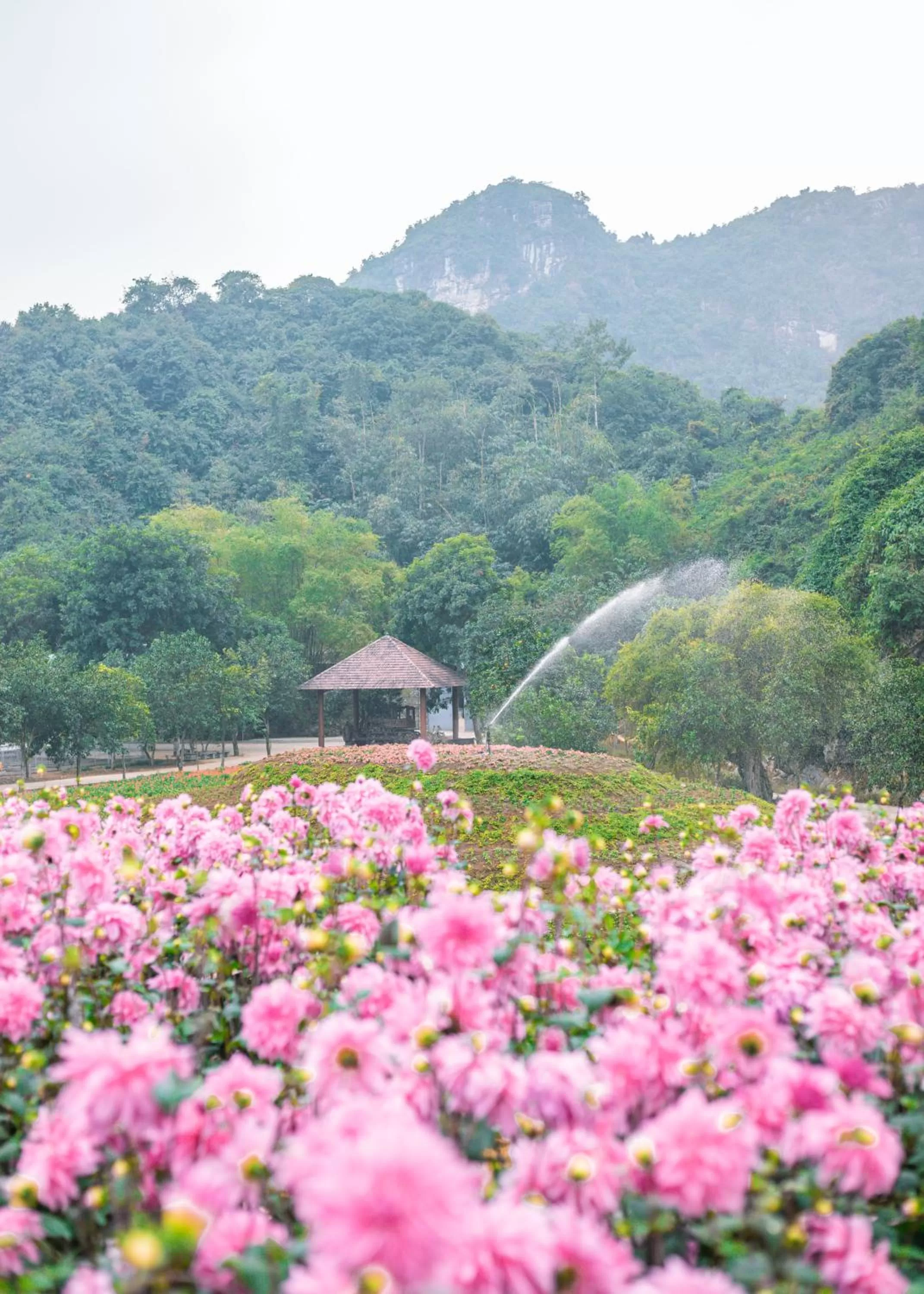 Natural landscape in Thung Nham Resort