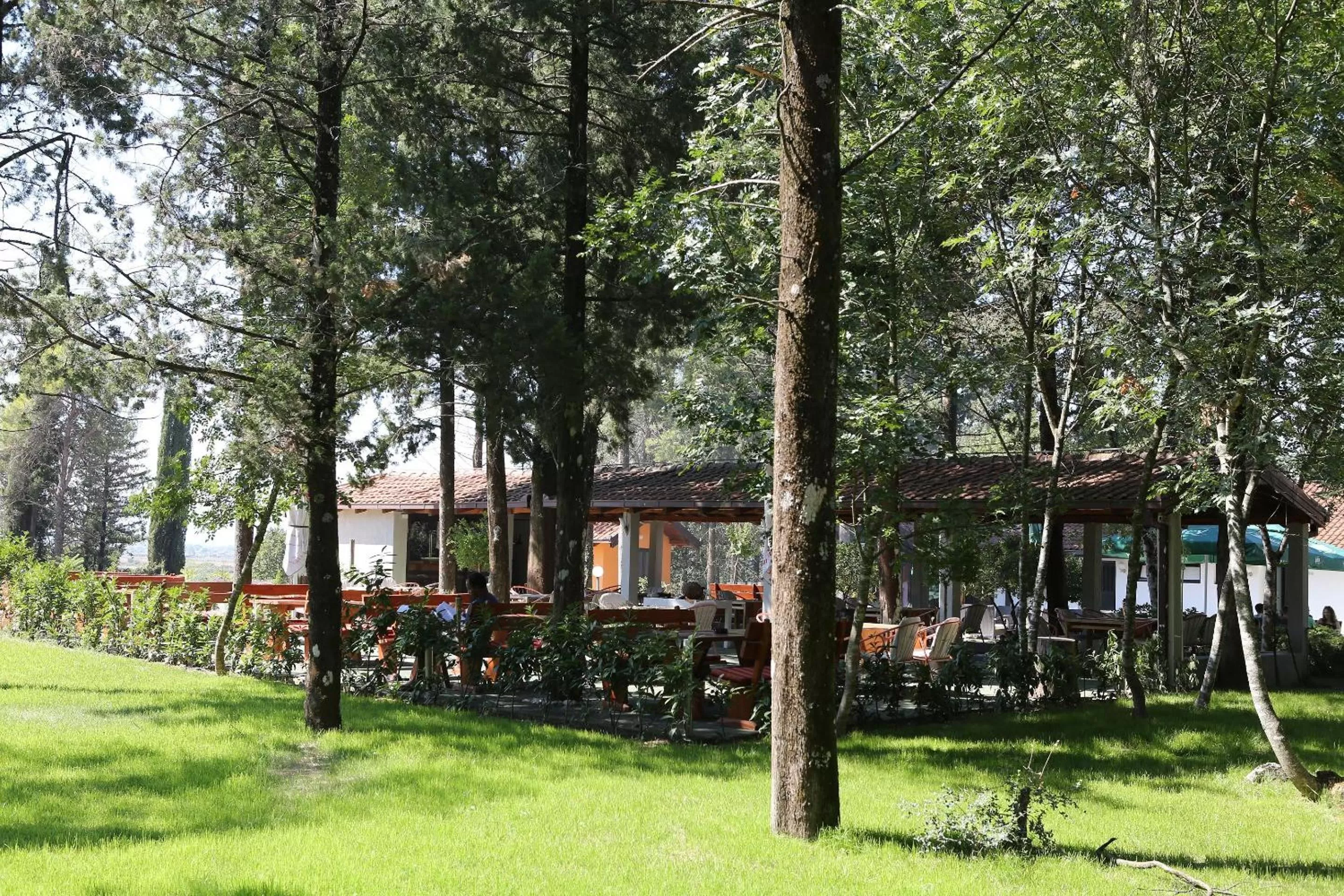 Garden, Property Building in Hotel Park