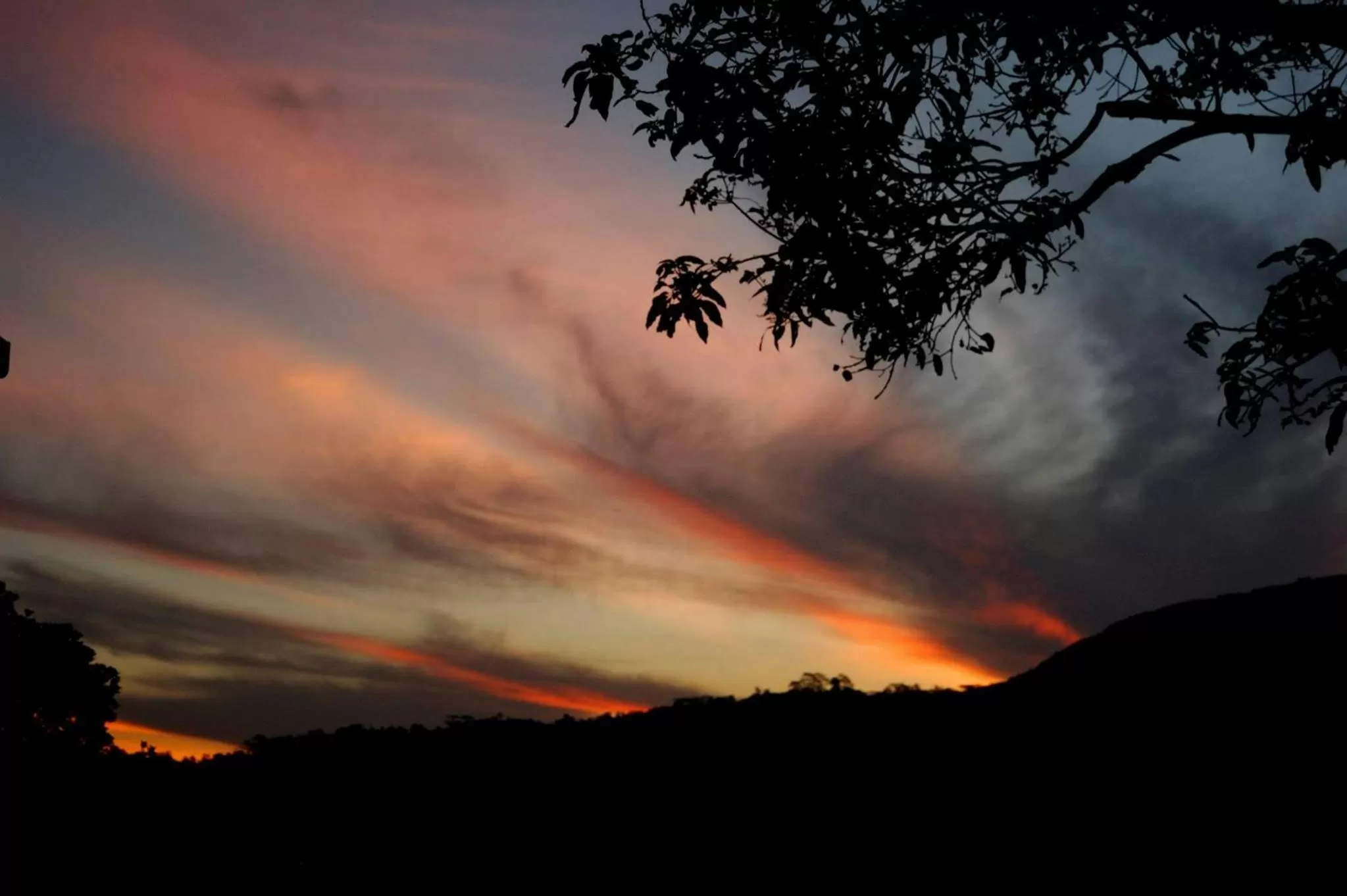 Garden, Sunrise/Sunset in Evergreen