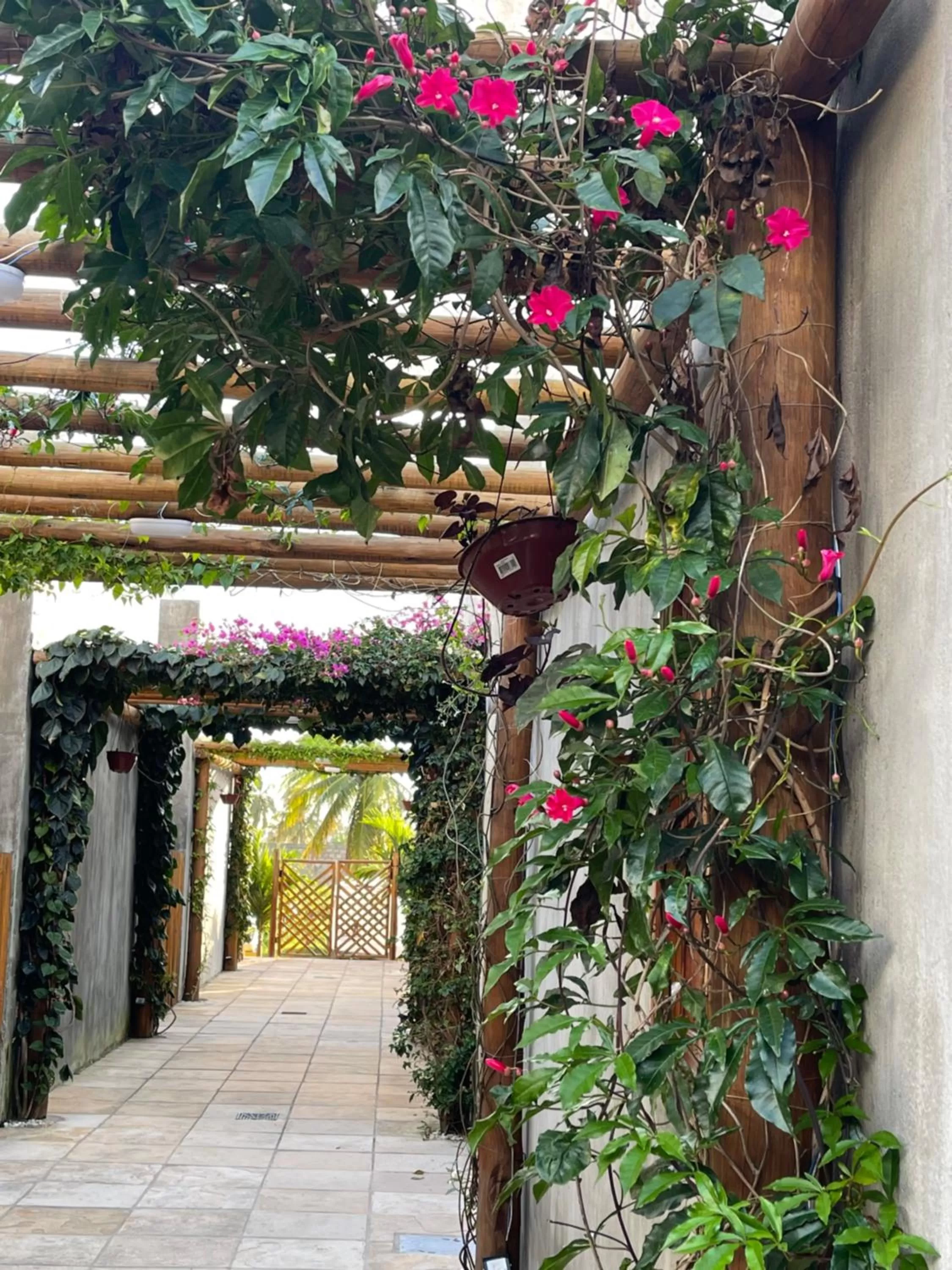 Day in Chalé Palhano Beach