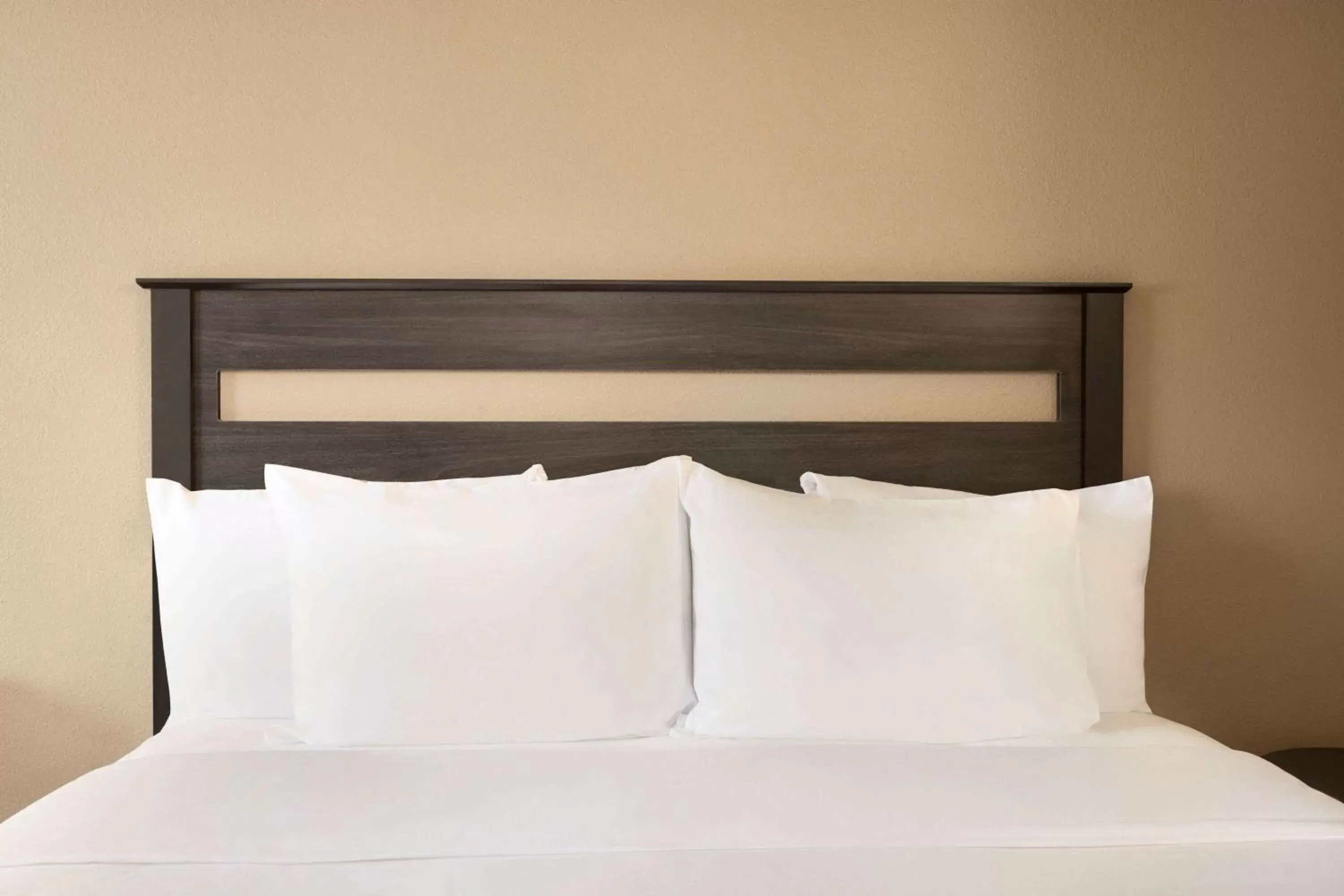 Queen Room with Roll-In Shower - Mobility Accessible/Non-Smoking in Baymont by Wyndham Hearne Queen Room with Roll-In Shower - Mobility Accessible/Non-Smoking in Baymont by Wyndham Hearne