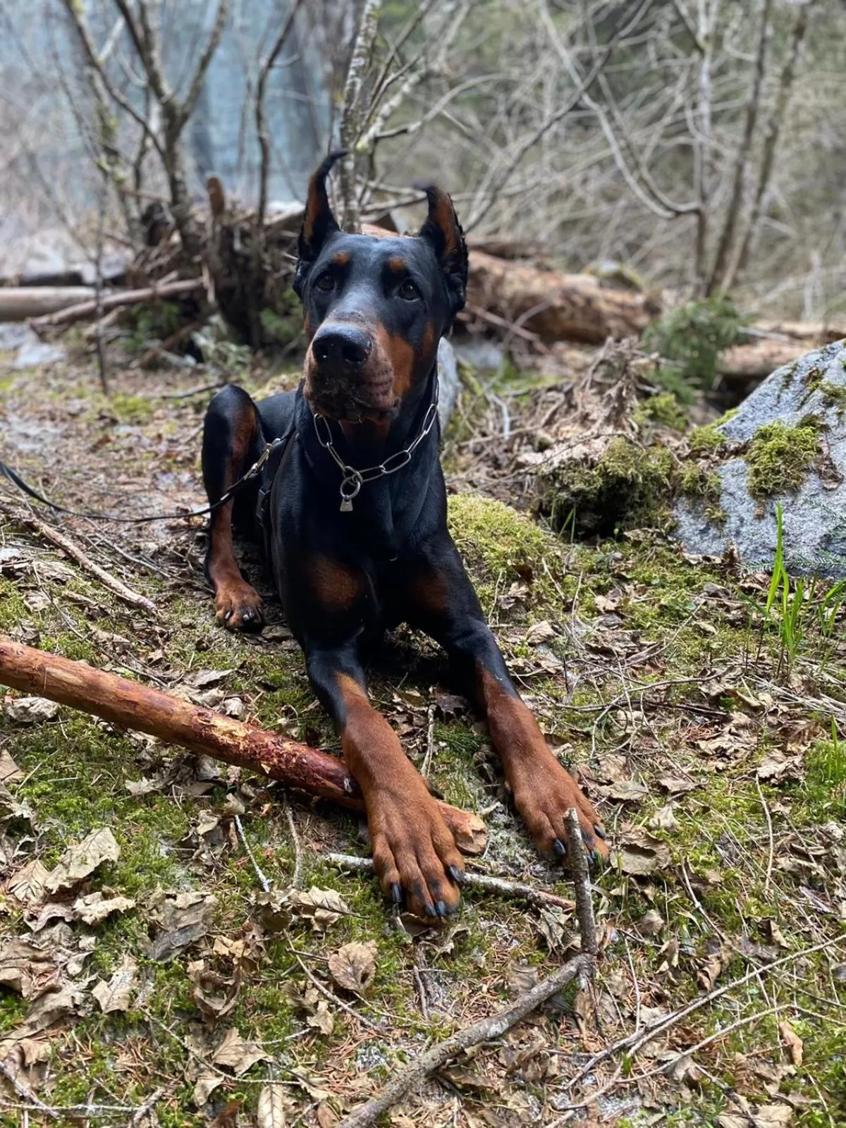 Hiking in Hotel Binelli