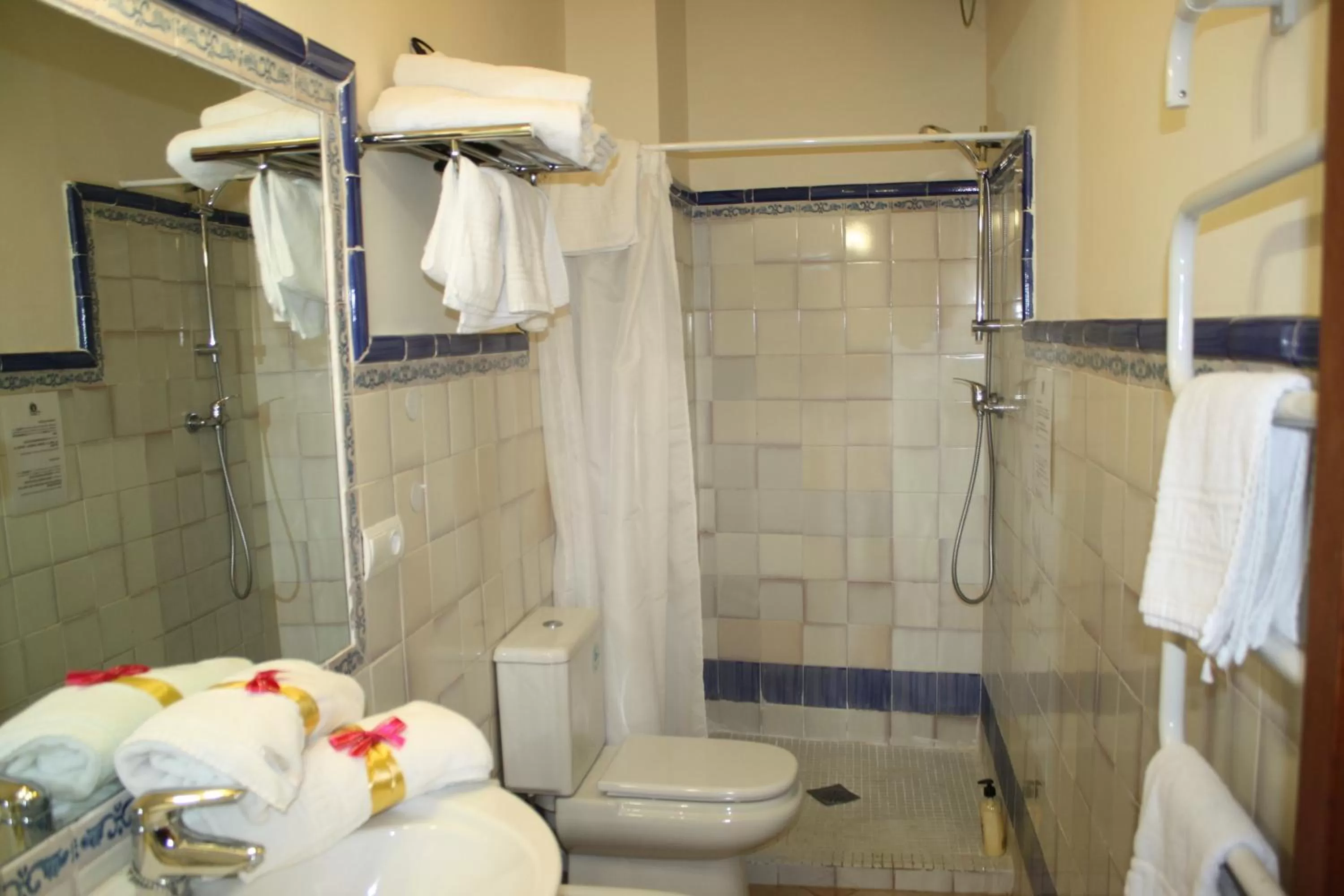 Single Room in Abadía Hotel